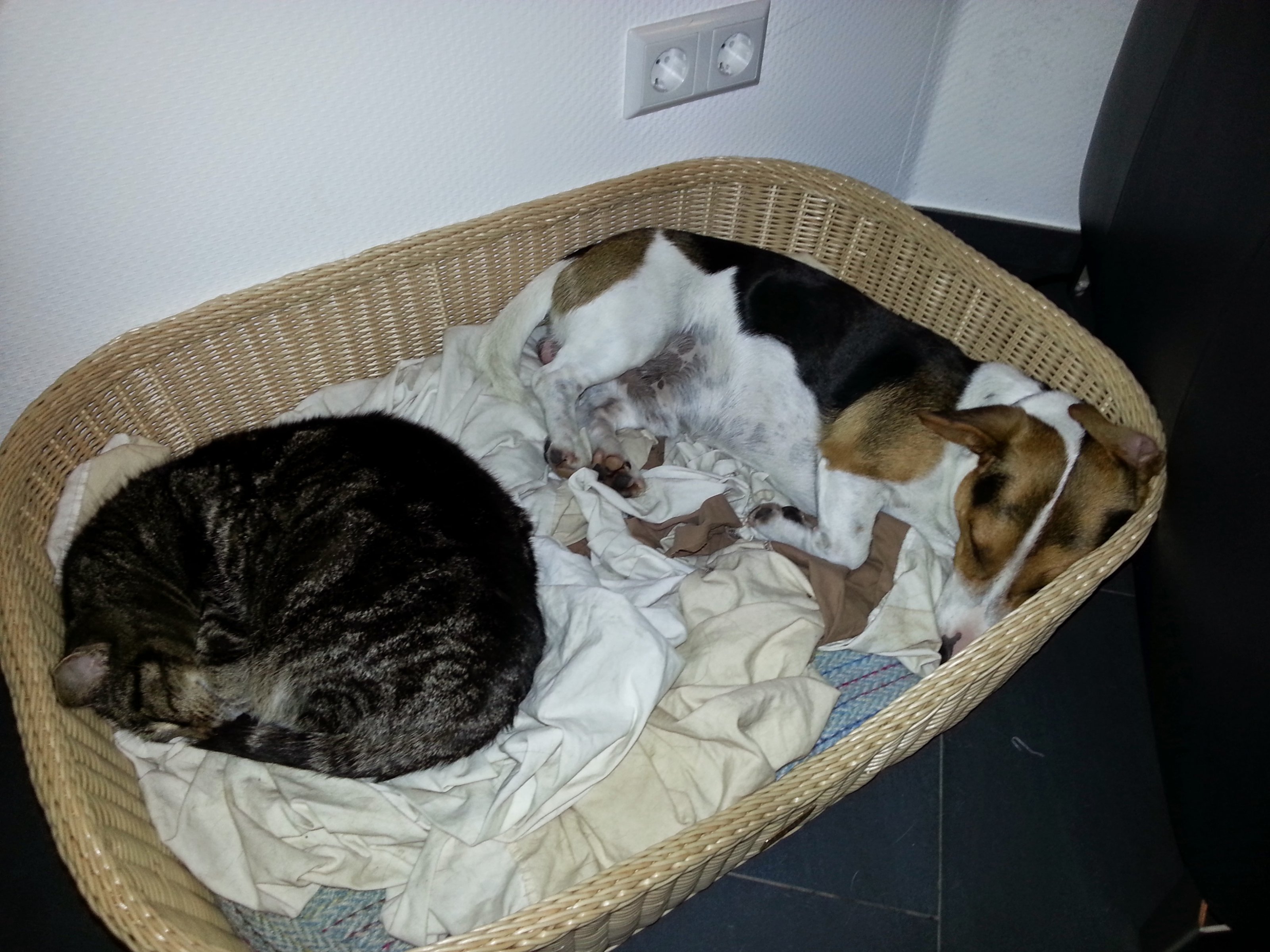 20121214_211348.jpg