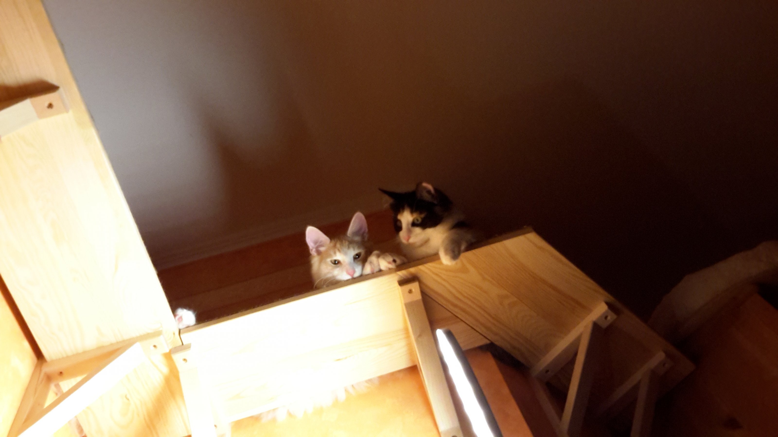 20151002_205657_04.jpg