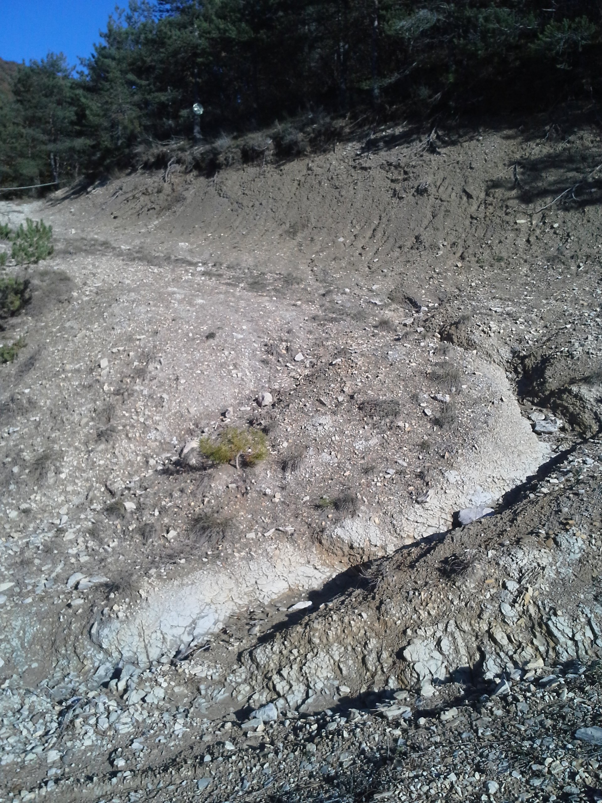 20151021_152555.jpg