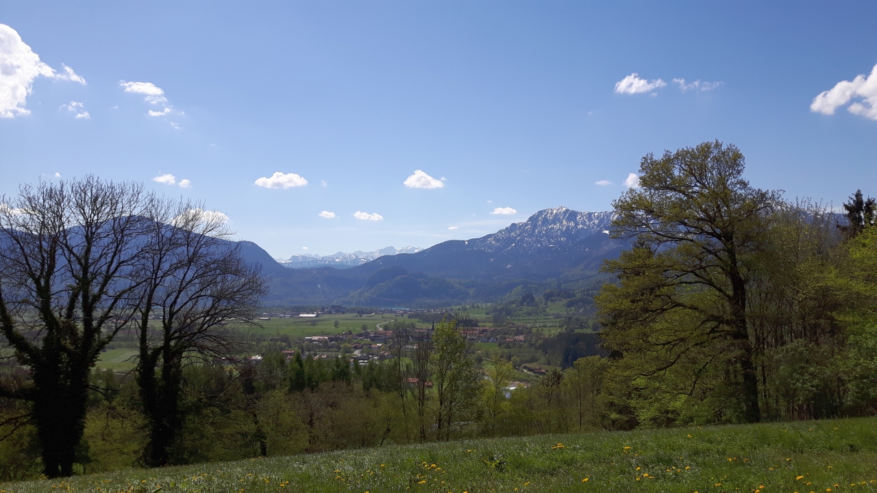 20160430_111846.jpg