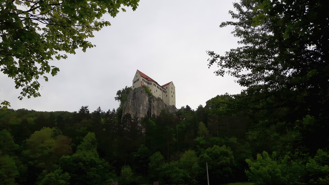 20160514_102440.jpg
