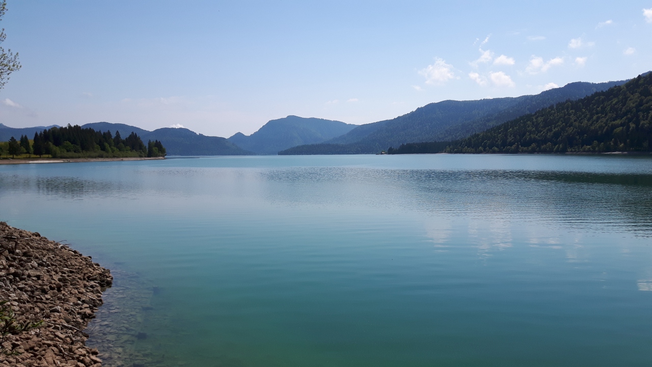 20160528_110309.jpg