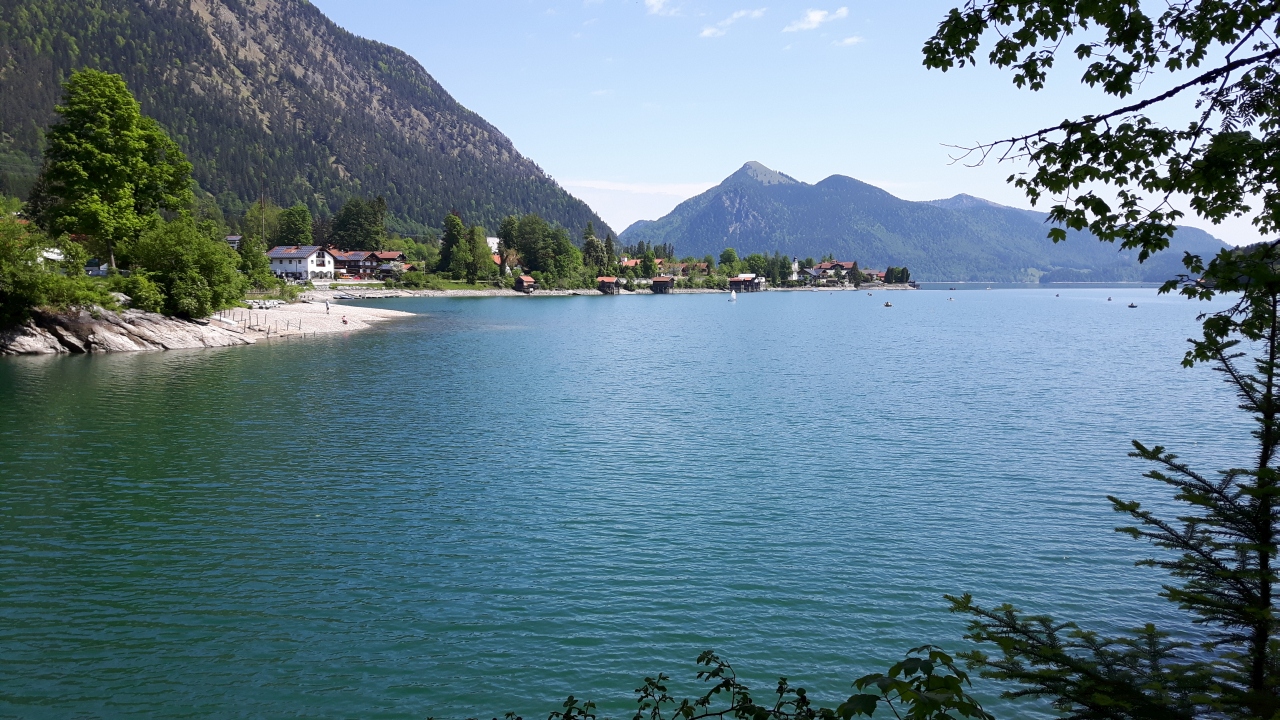 20160528_112951.jpg