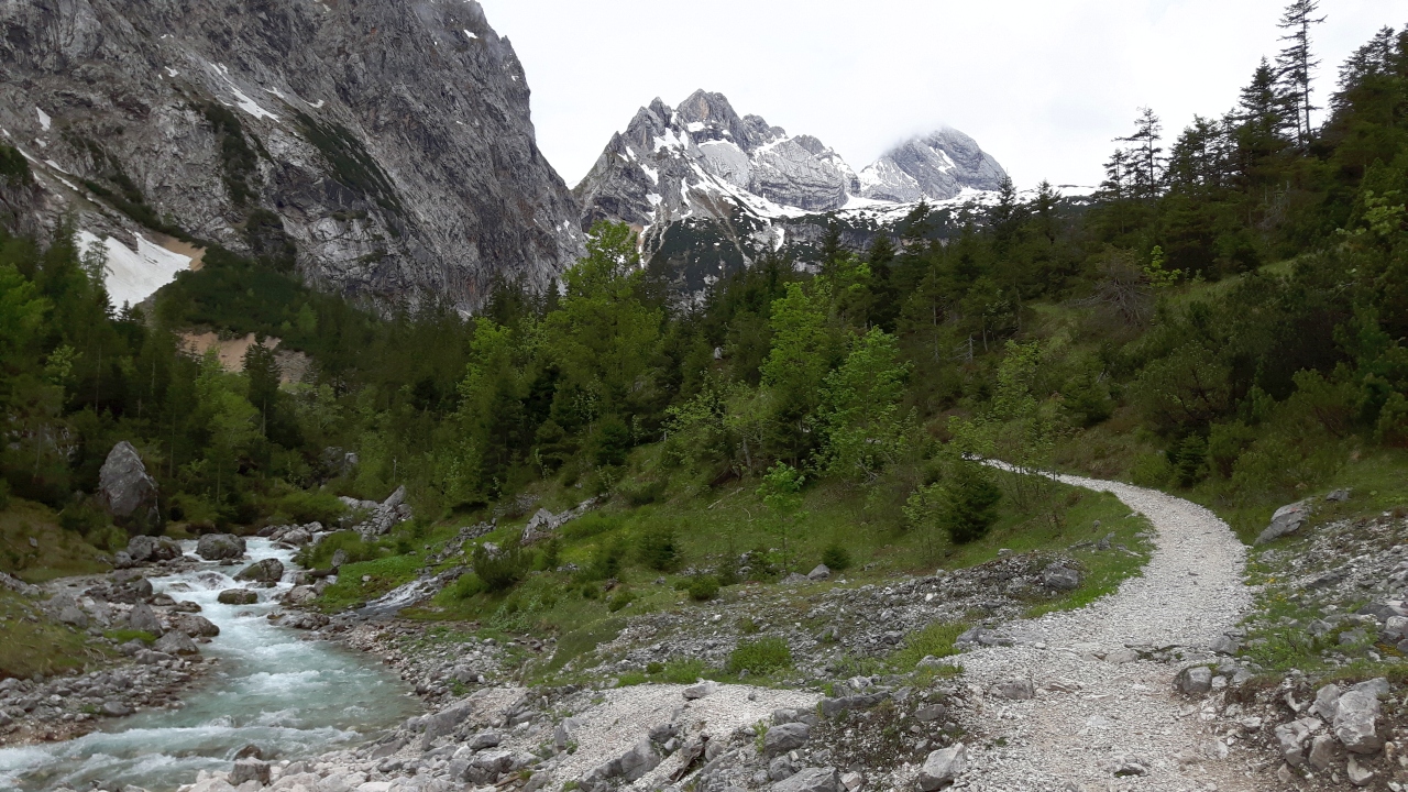 20160531_111434.jpg