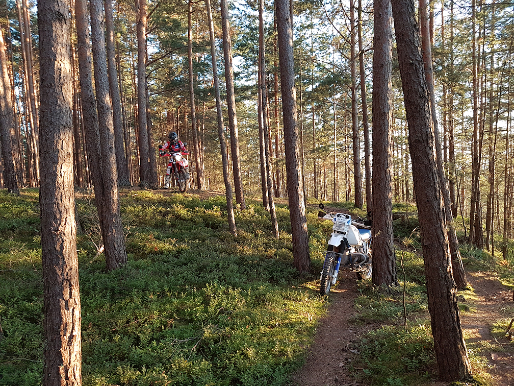 20160823_194711.jpg