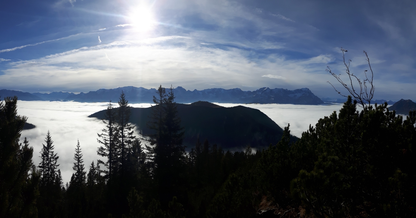 20161126_115028.jpg