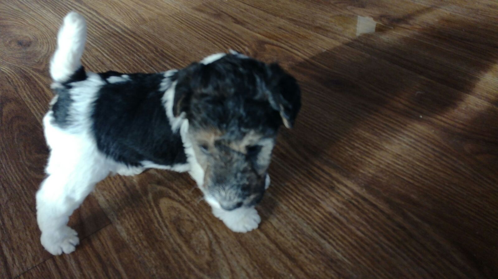 2017-01-18 15.30.33 (1).jpg