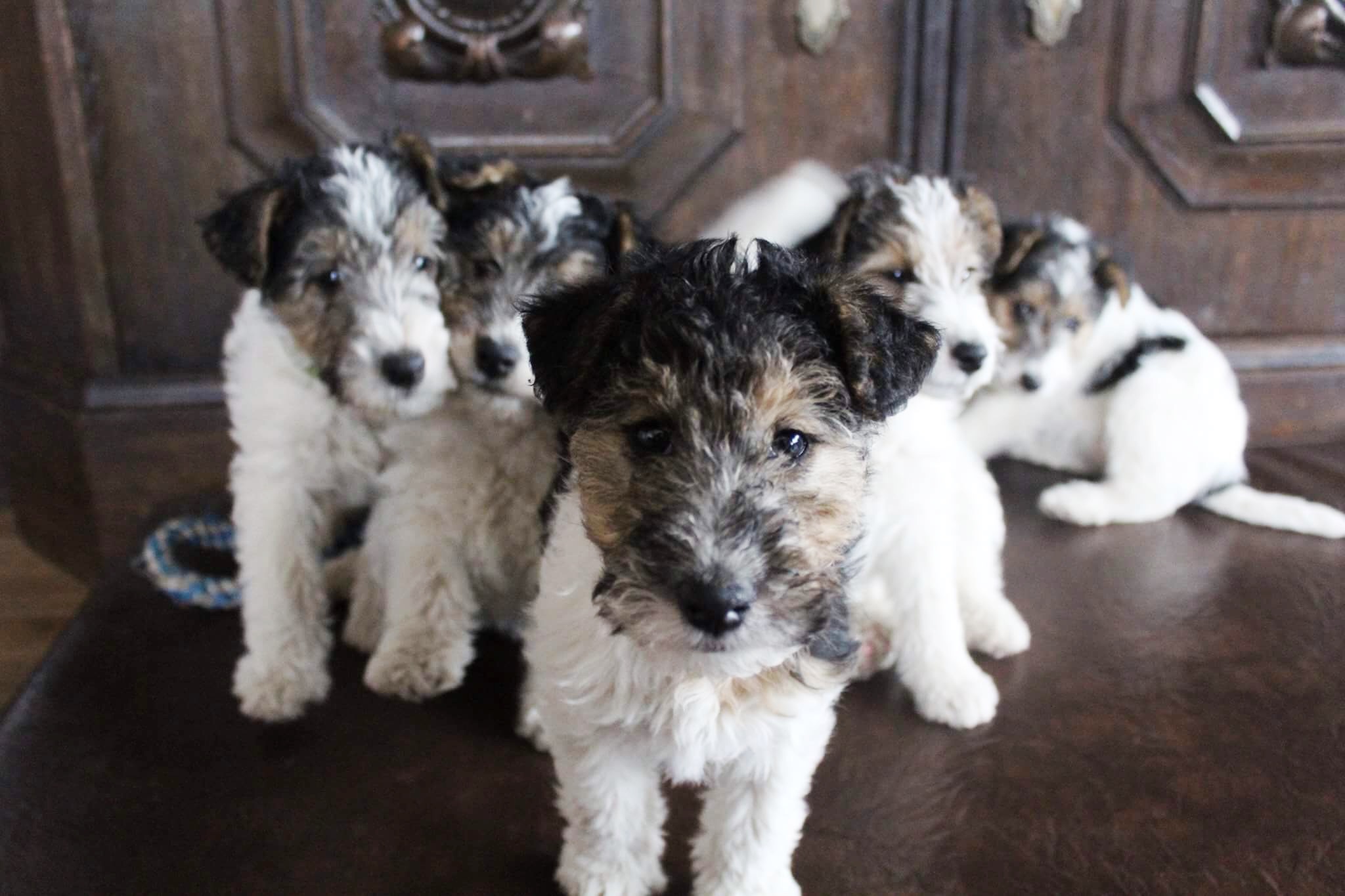 2017-02-13 13.08.30.jpg