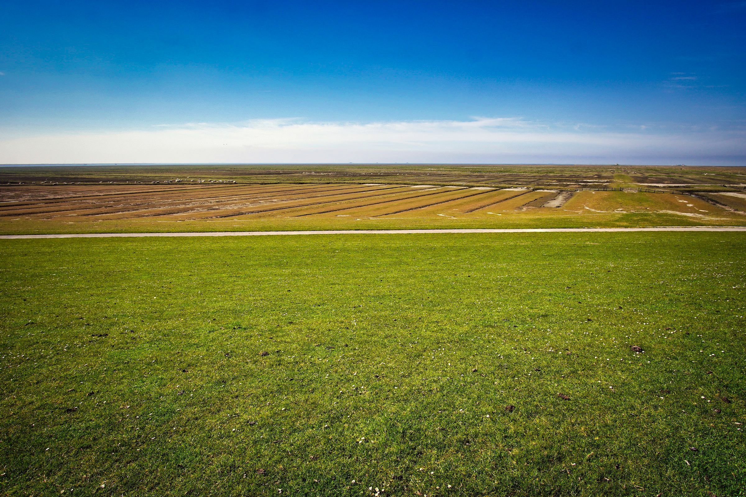 20170507 Motorrad_Nordsee 016.jpg