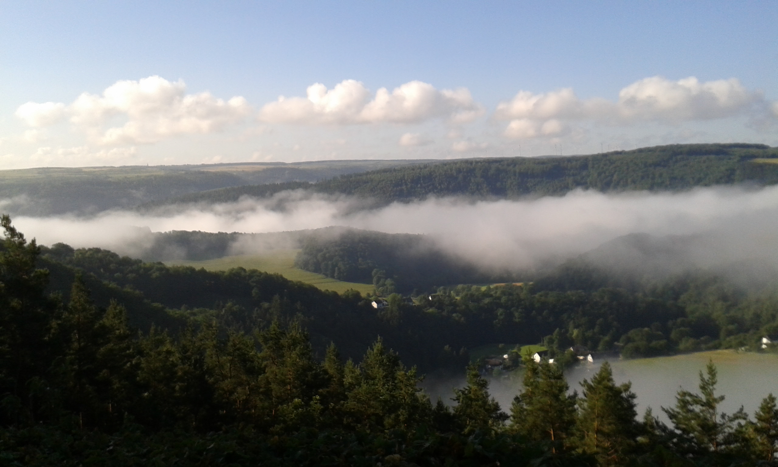 20170713_083218.jpg