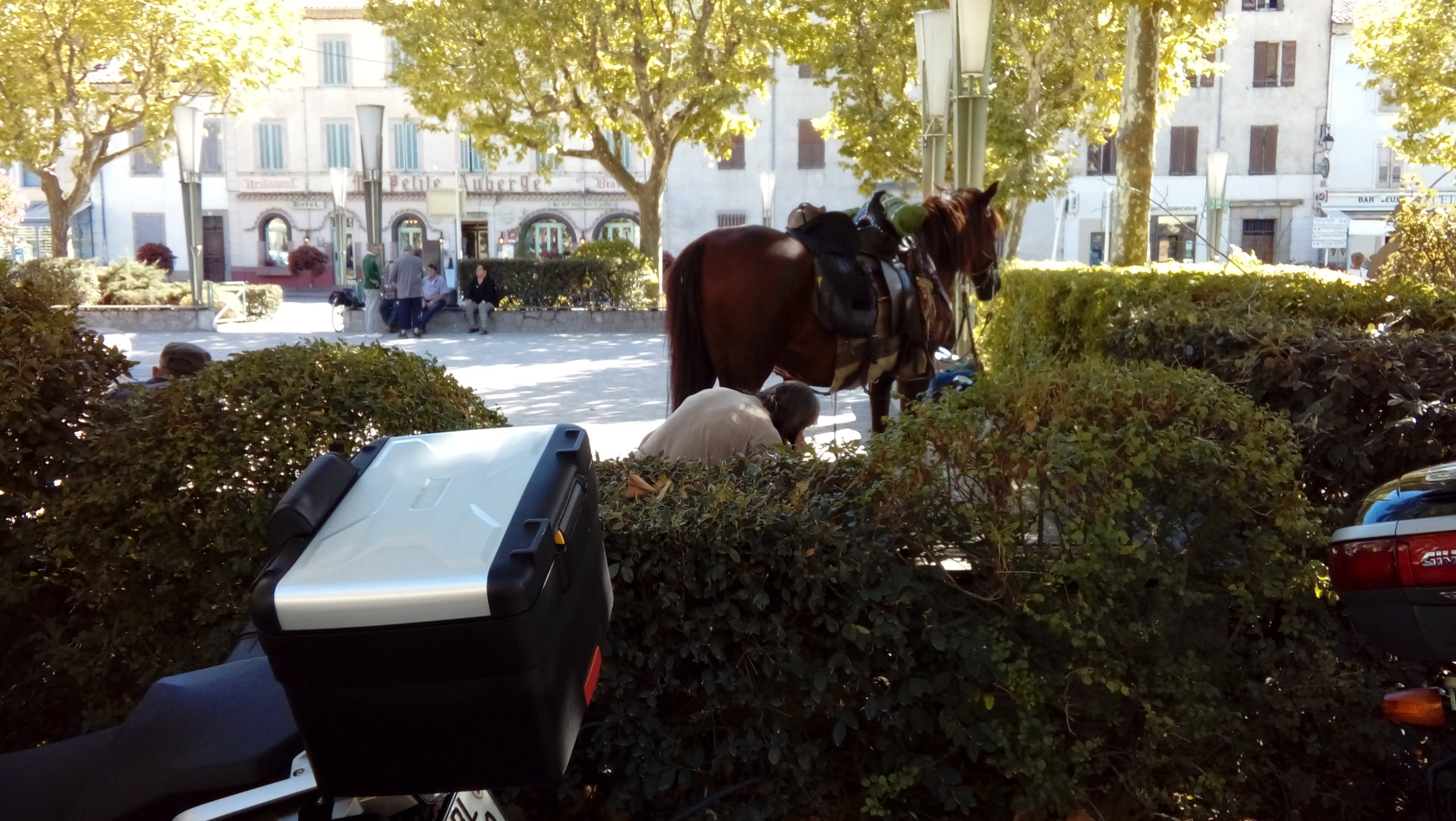 20170913_15.57 Pferd und Reiter in Castellane.jpg