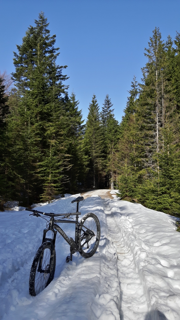 20180408_092402_Richtone(HDR).jpg
