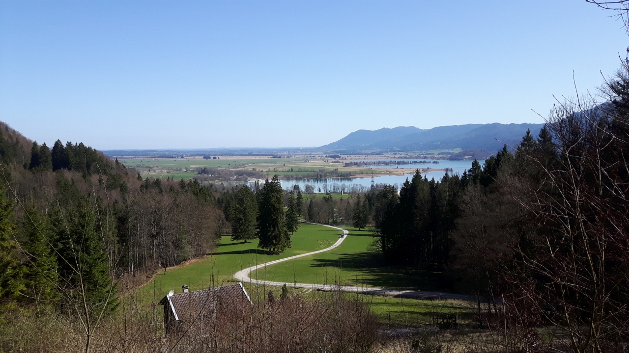 20180408_110232.jpg