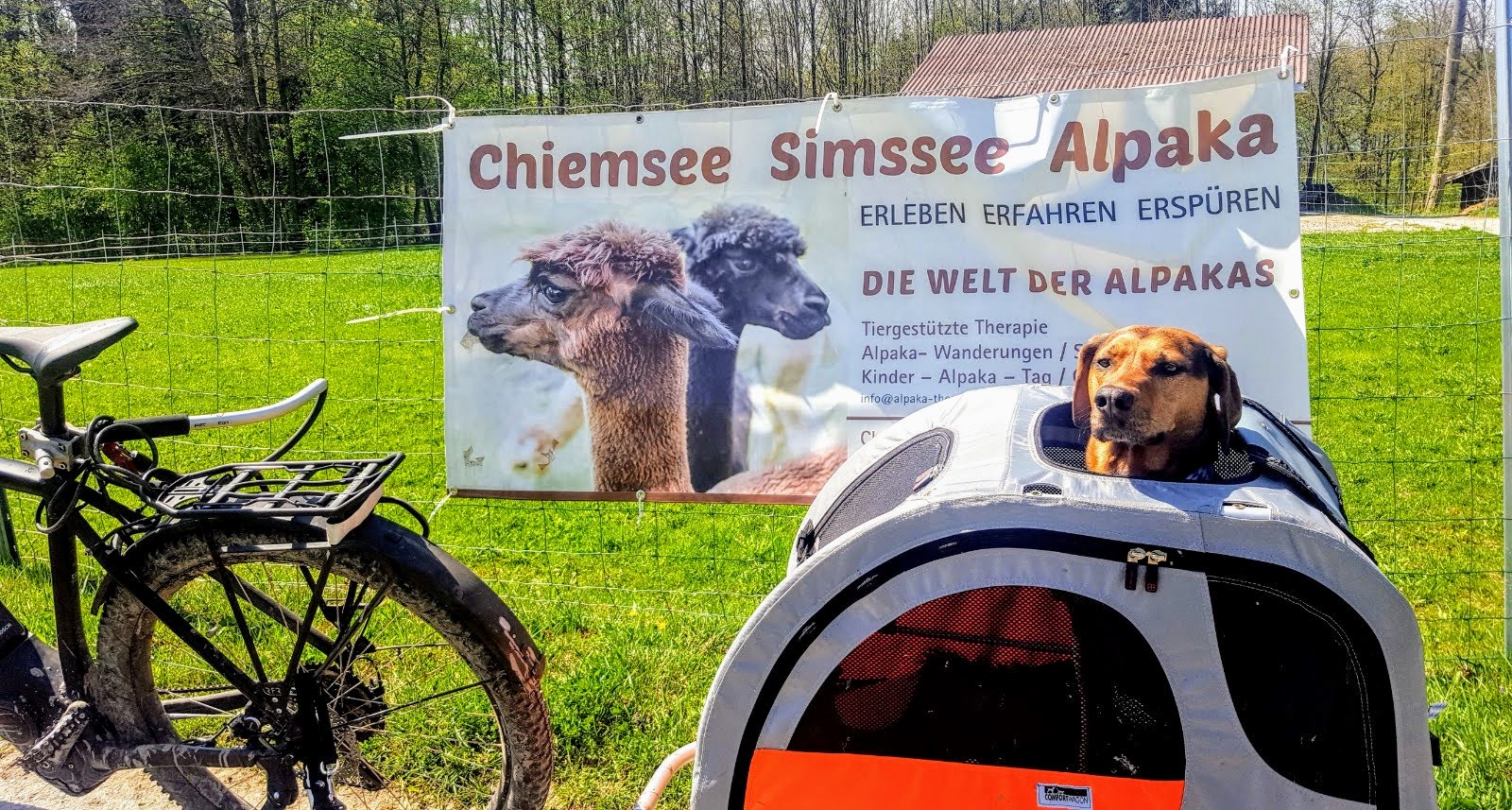 20180418_142256.jpg