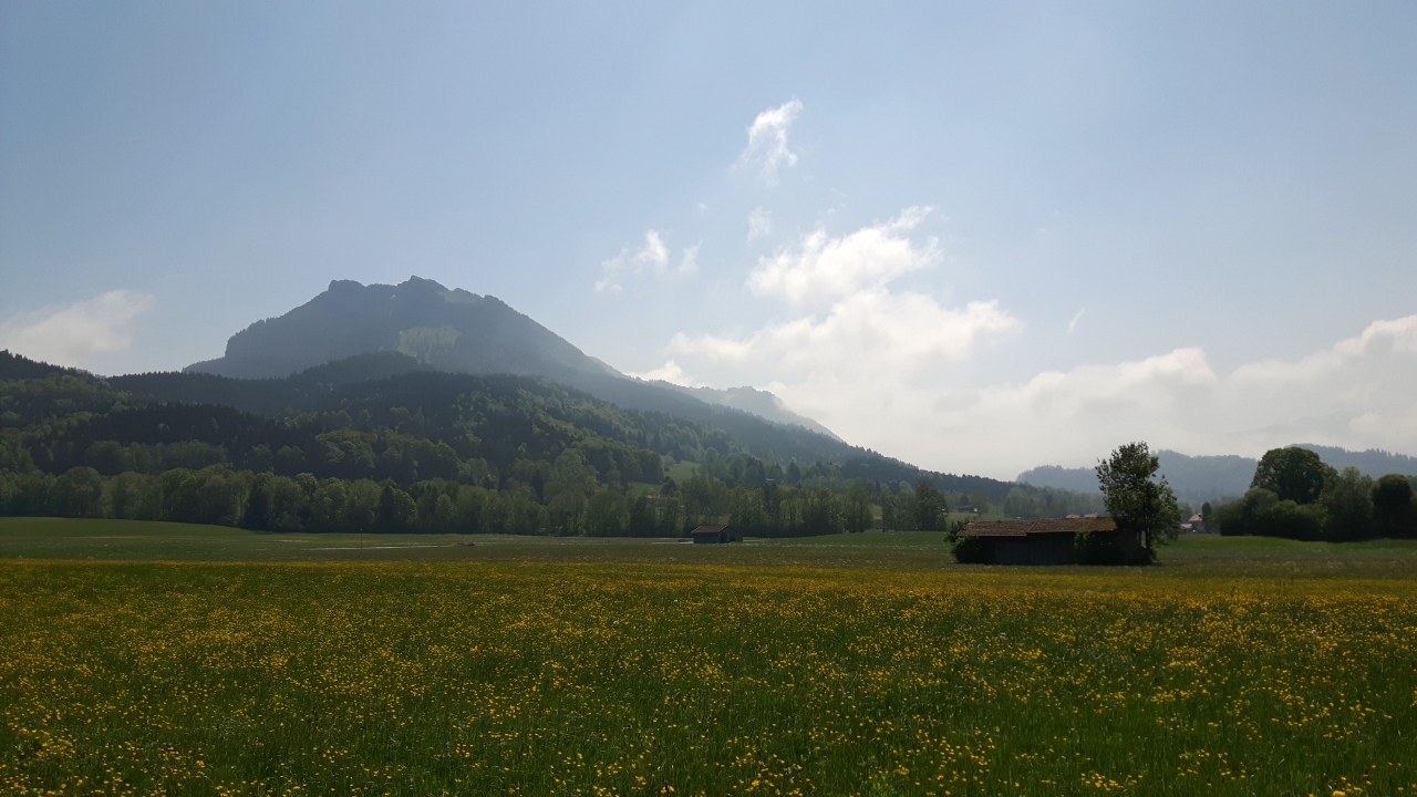 20180506_121232_Richtone(HDR).jpg