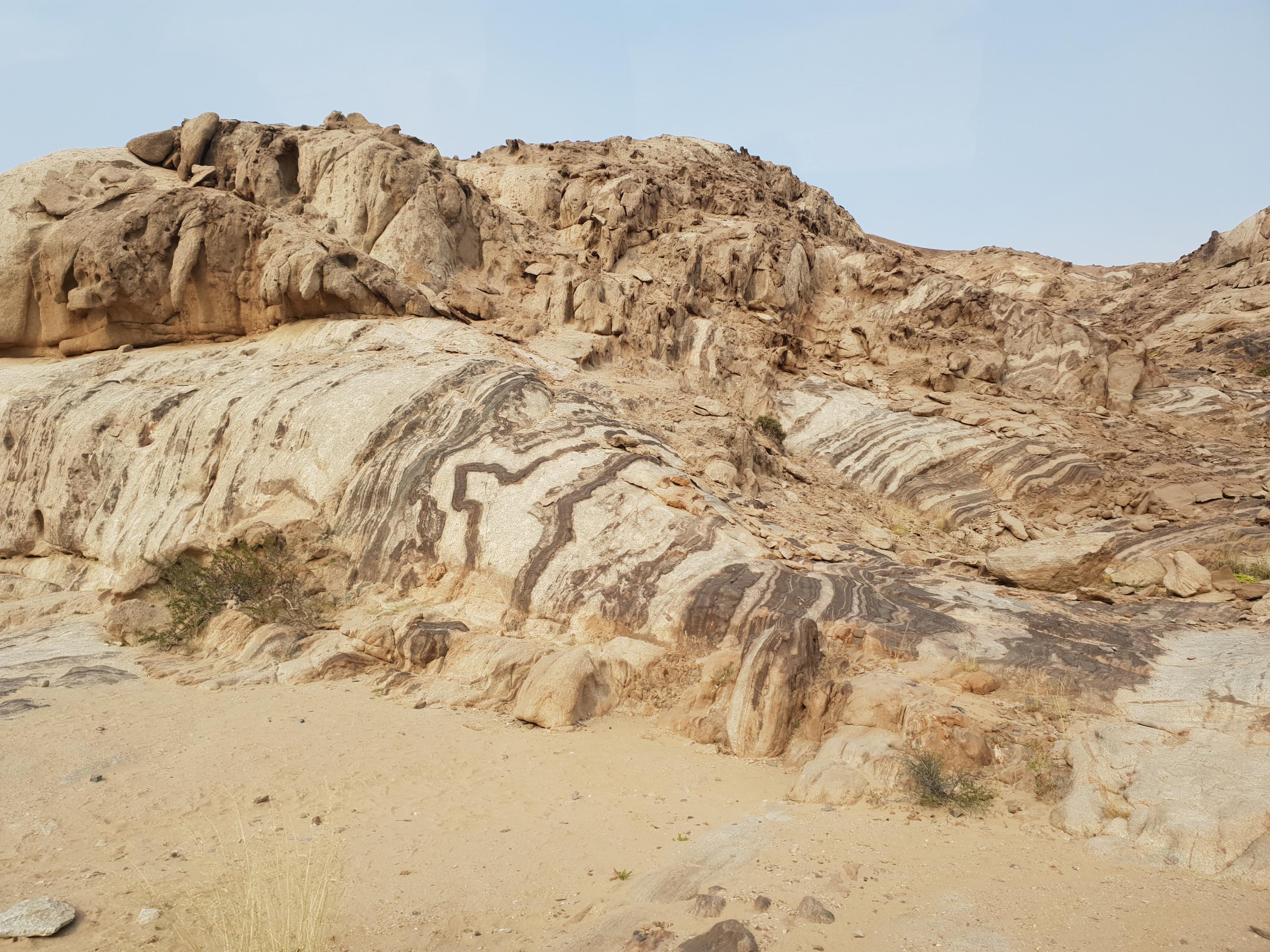20180813_093154.jpg