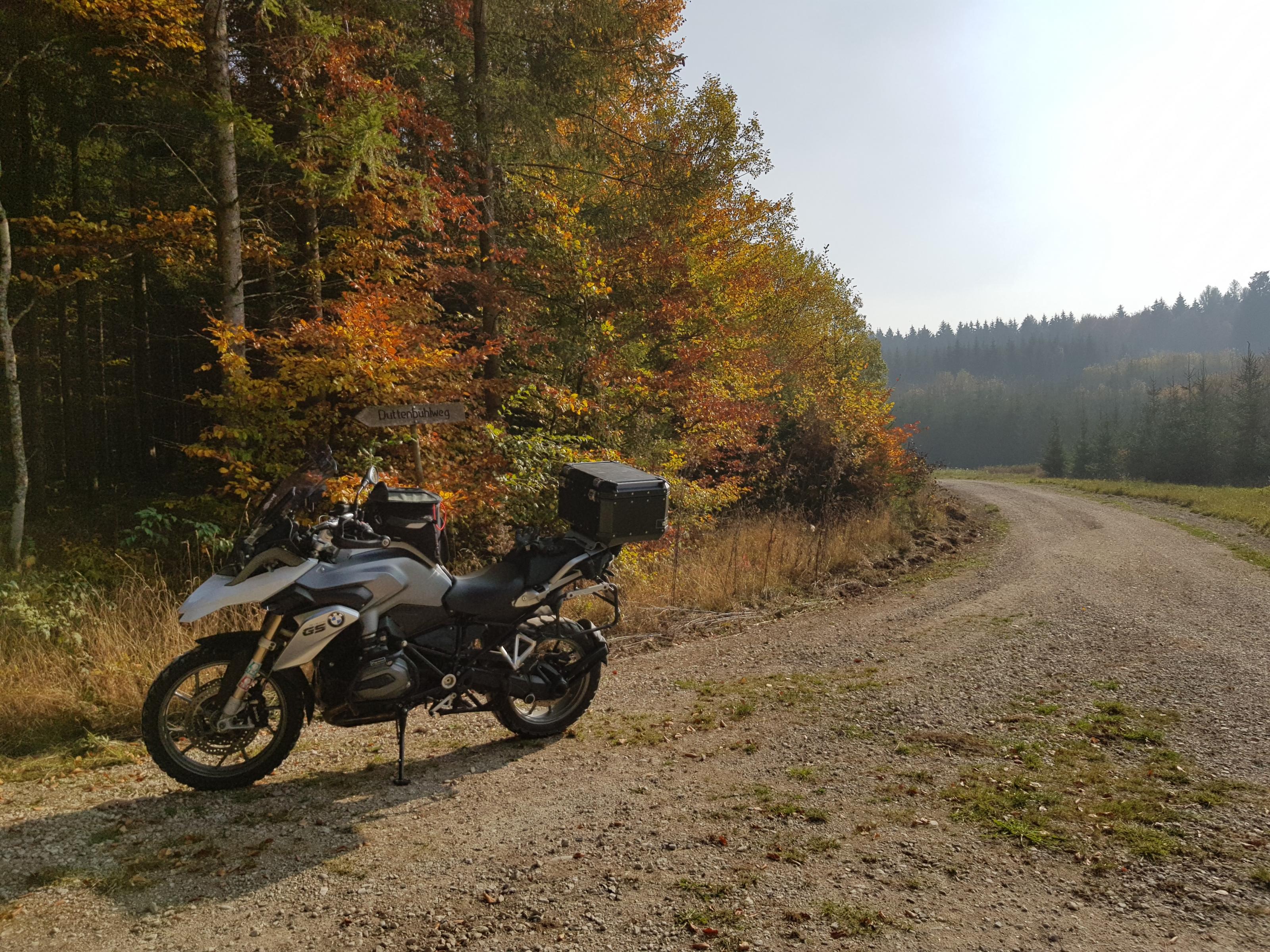 20181020_142931.jpg
