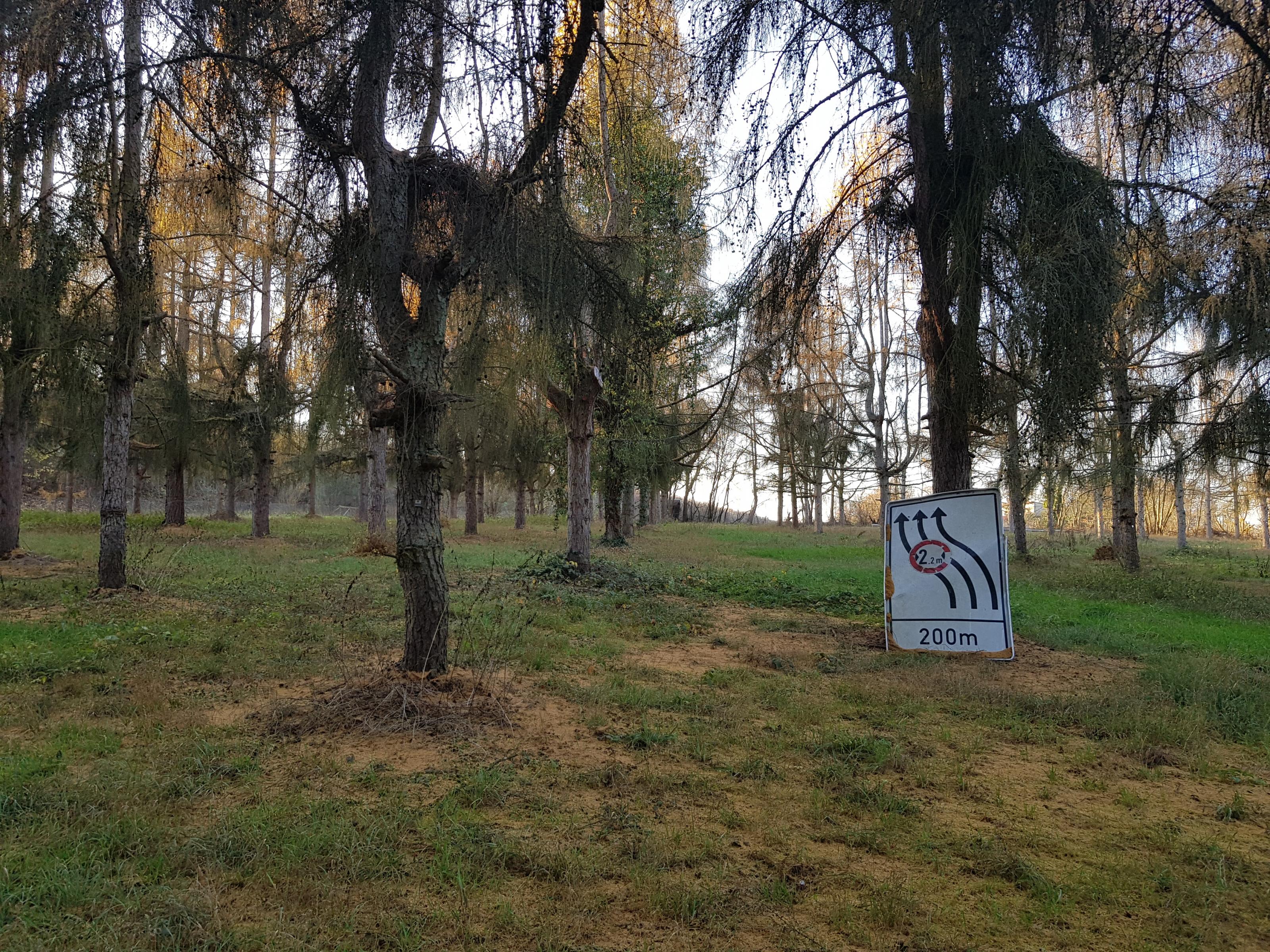 20181118_152819.jpg