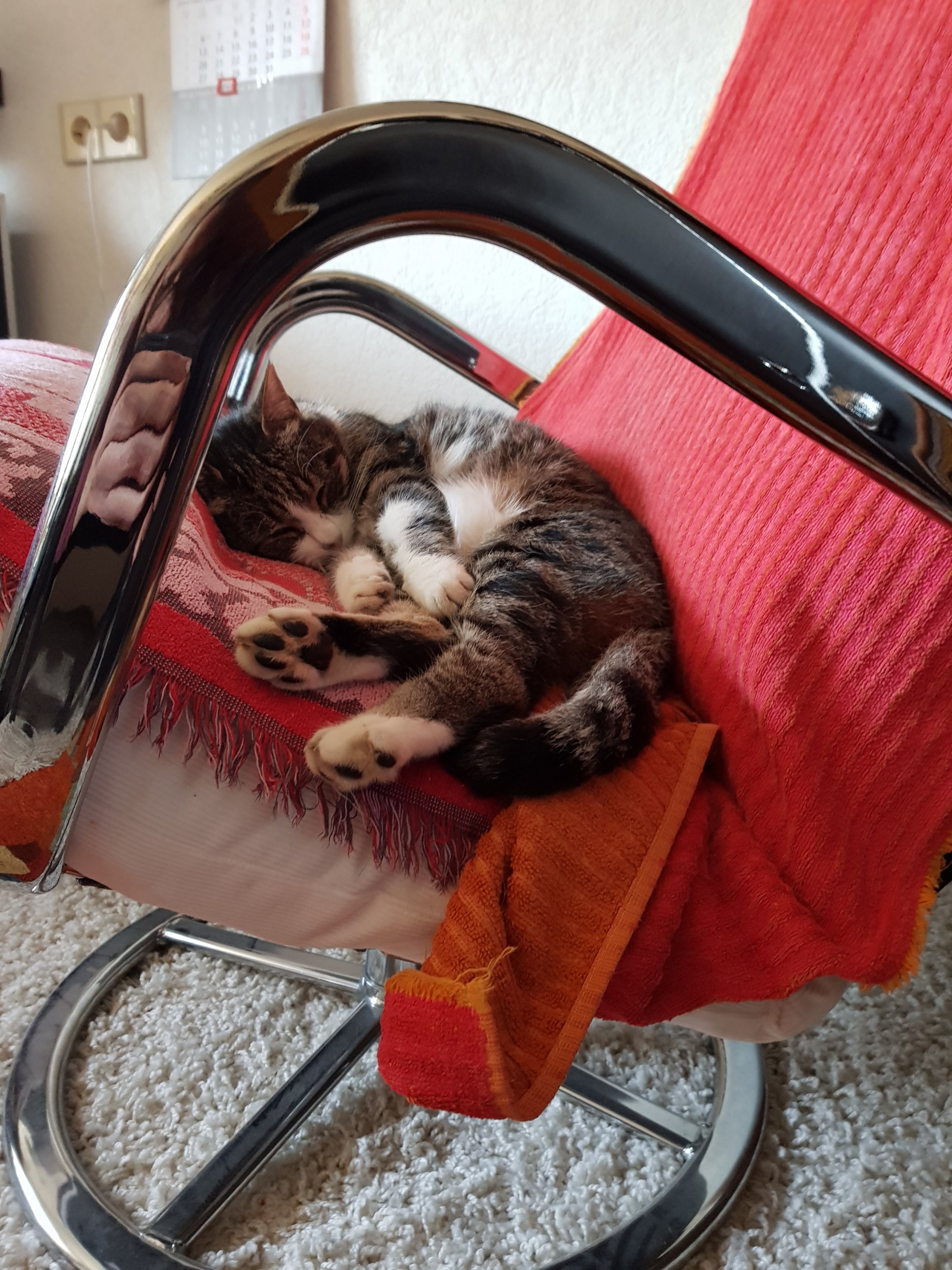 2019-12-19-0001.jpg