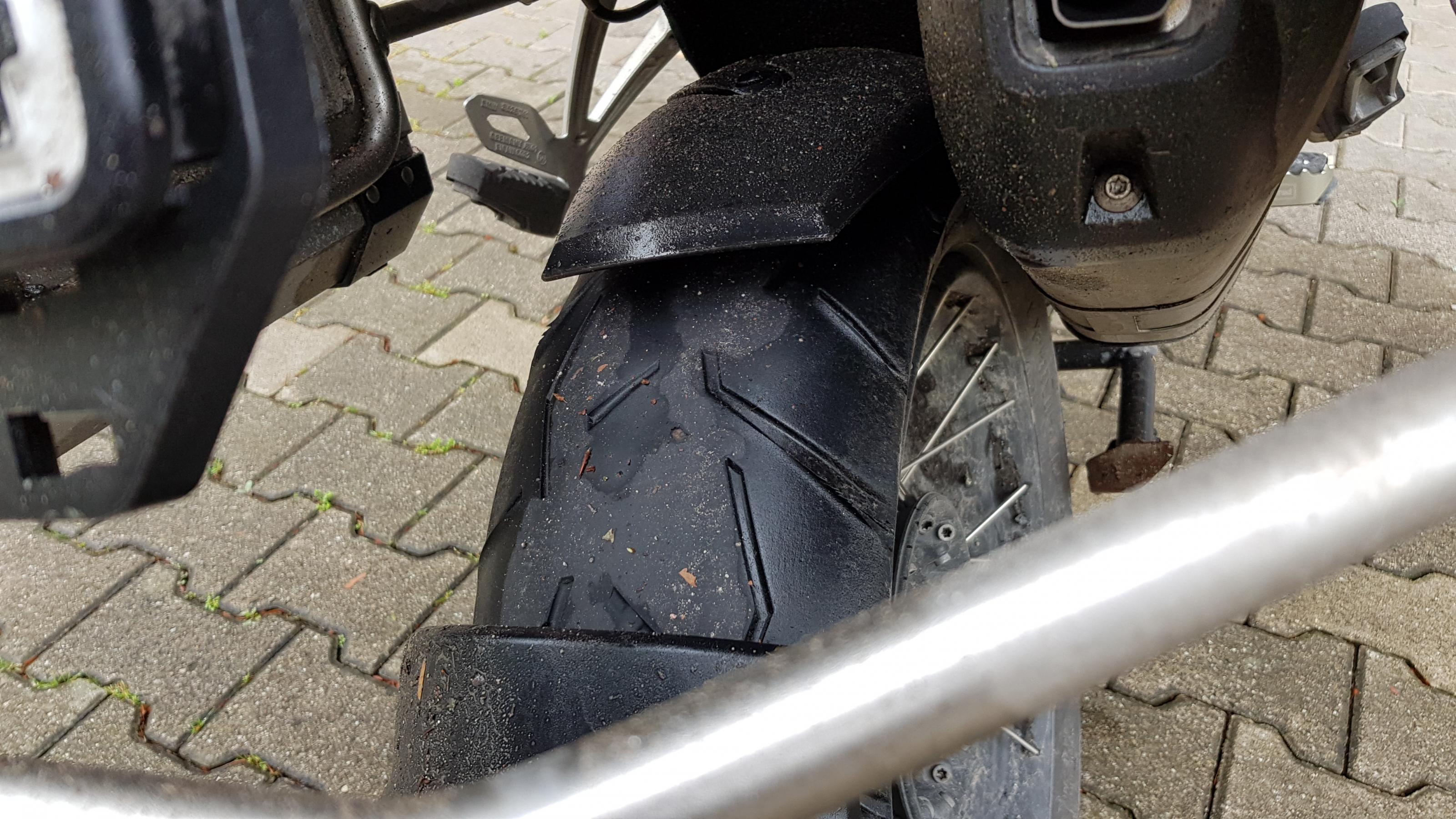 20190611_090606.jpg