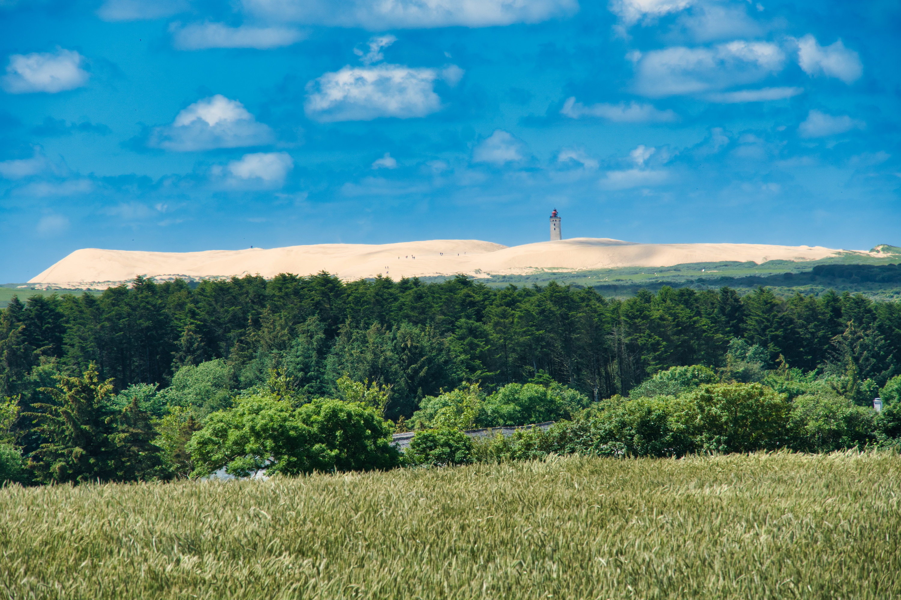 20190616 Lönstrup 089.jpg