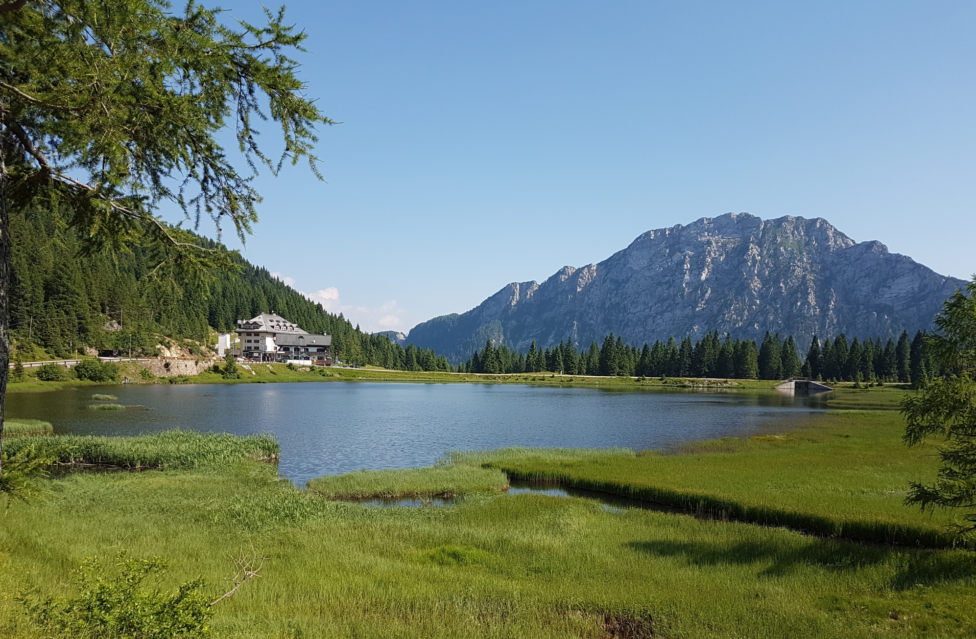 20190626_164548.jpg