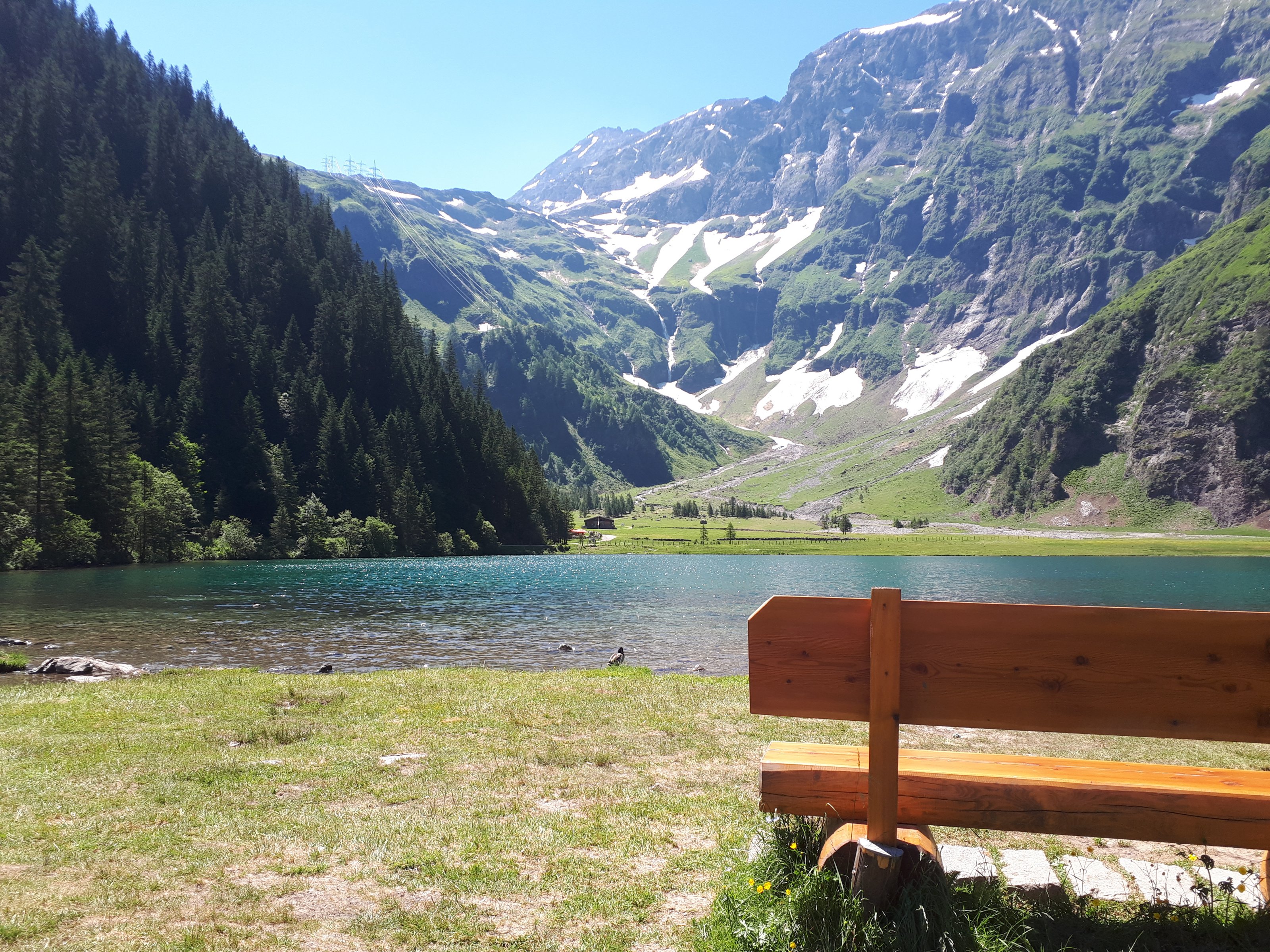 20190630_114242.jpg