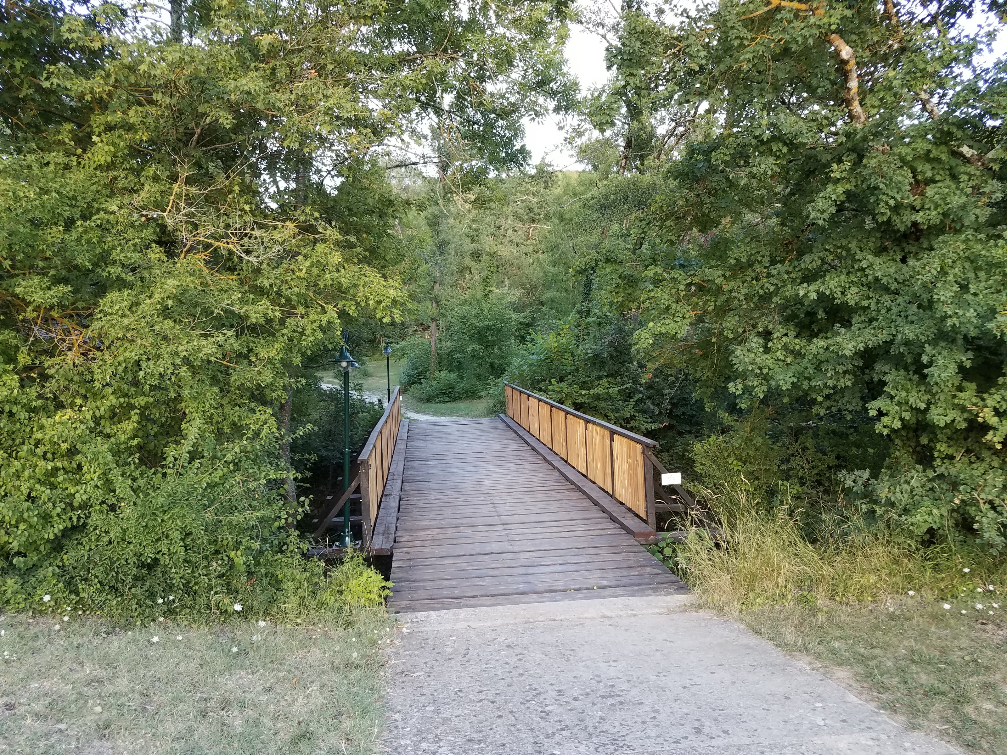 20190810_202506.jpg