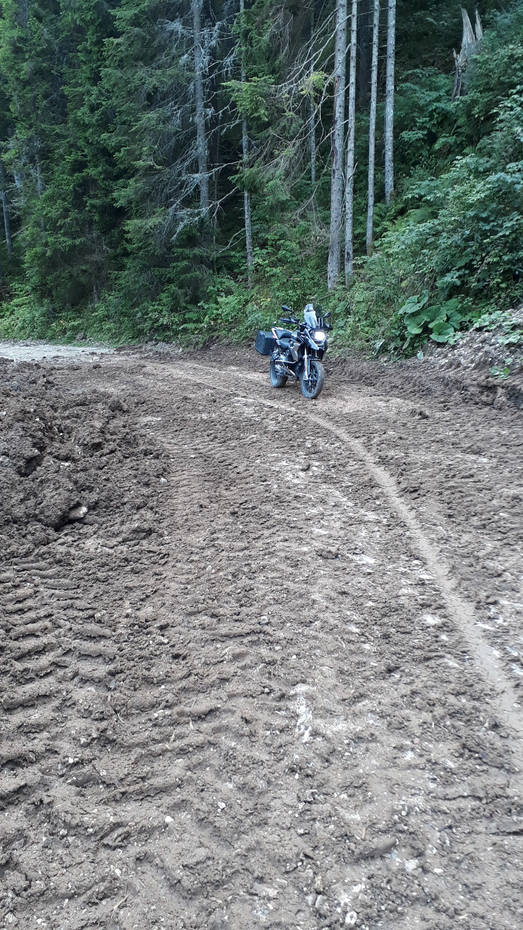 20190828_170711.jpg