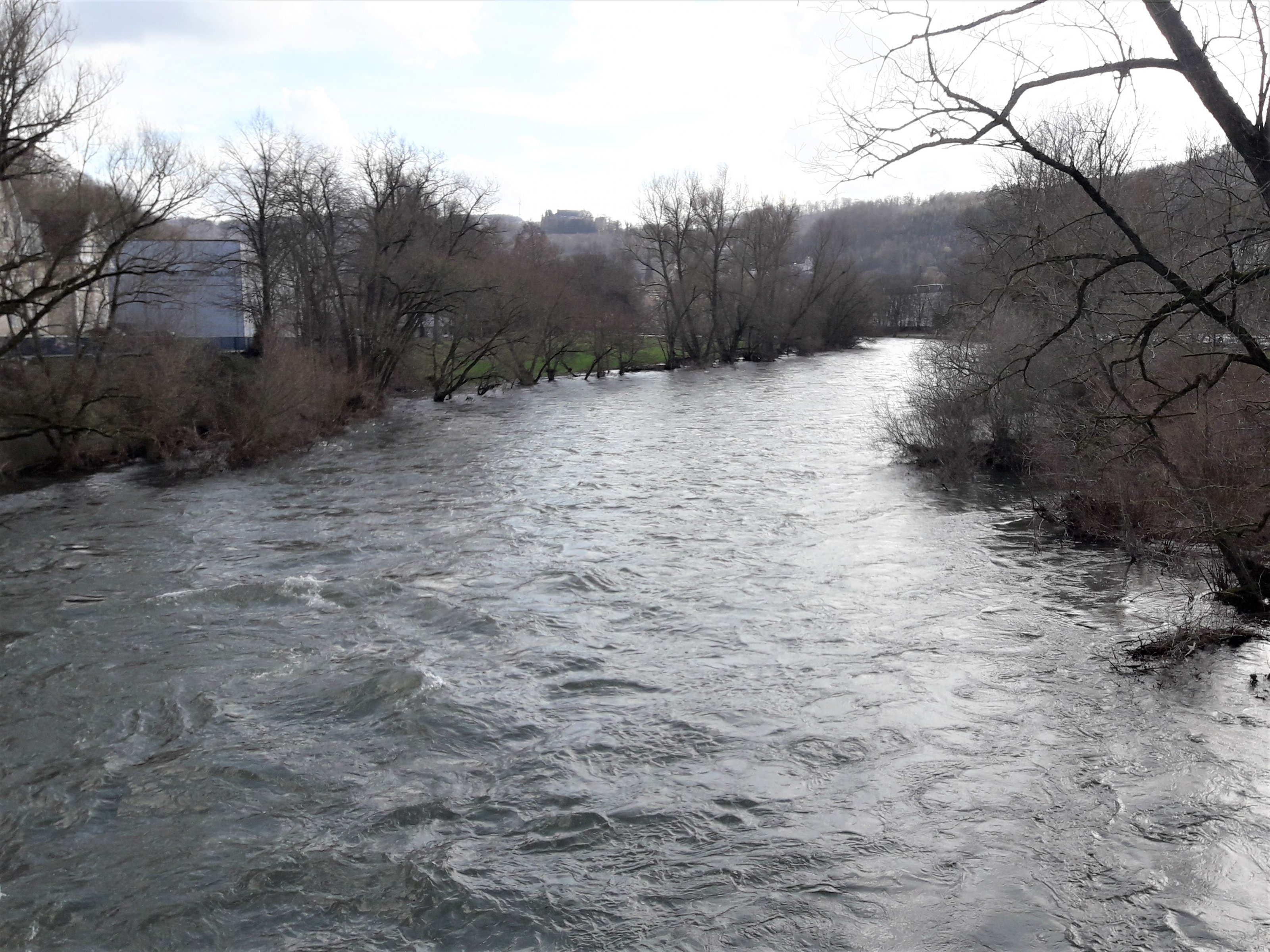 20200304_134805.jpg