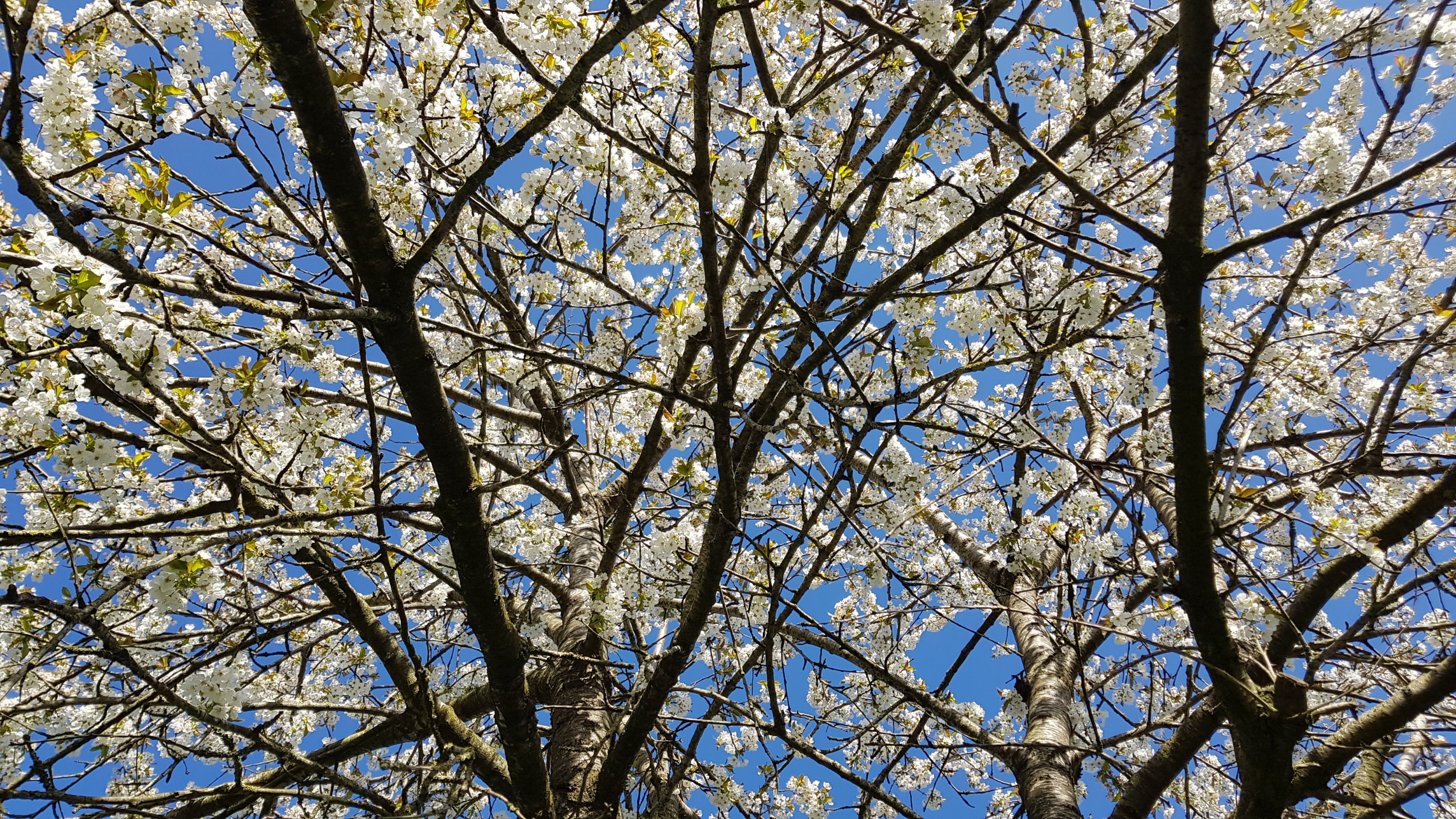 20200417_164329.jpg