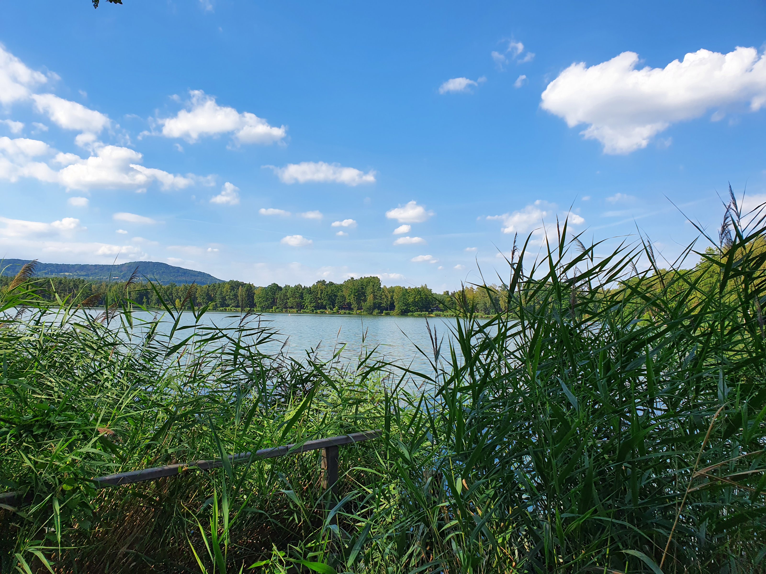 20200820_162315.jpg