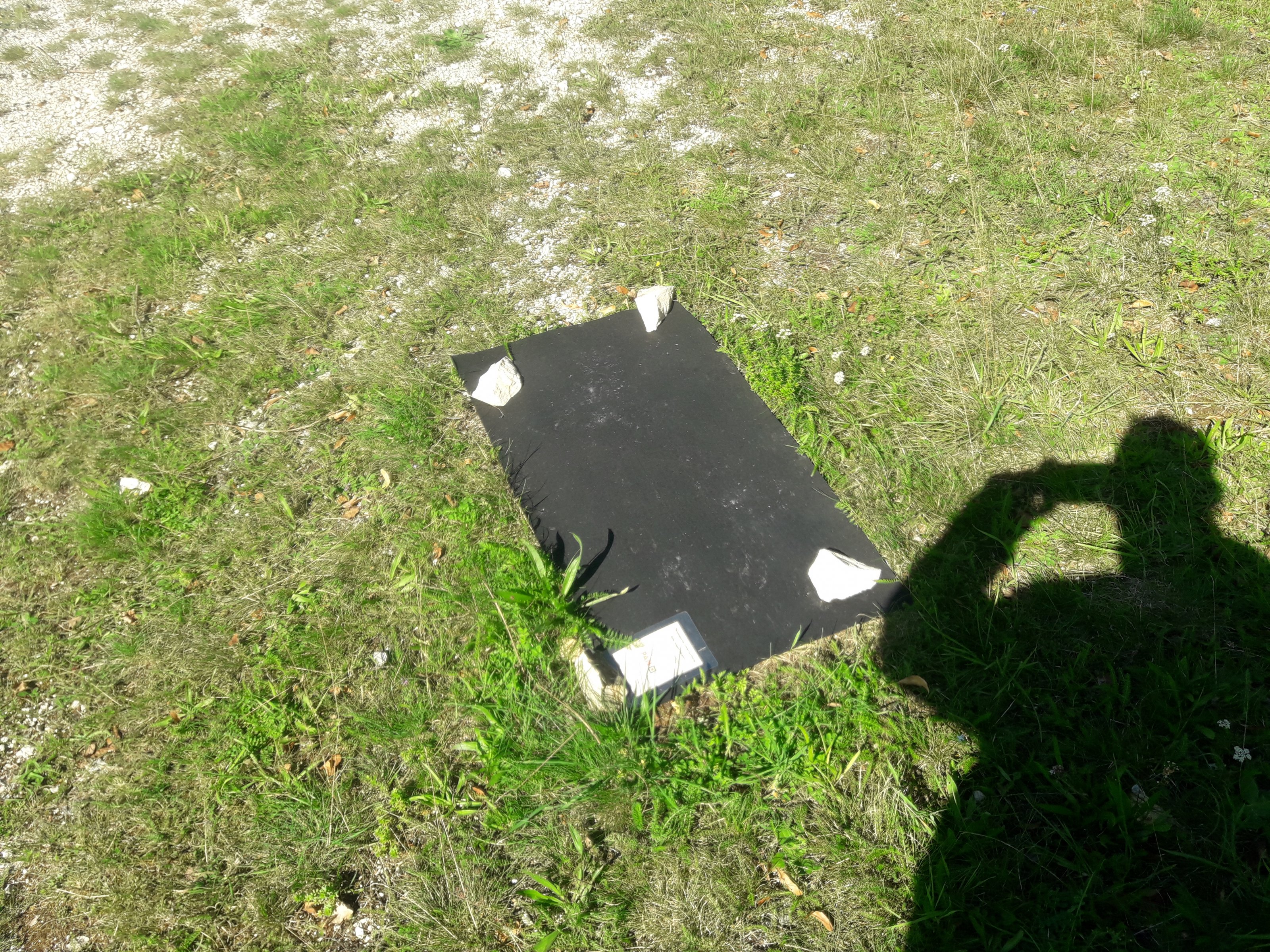20200908_144443.jpg