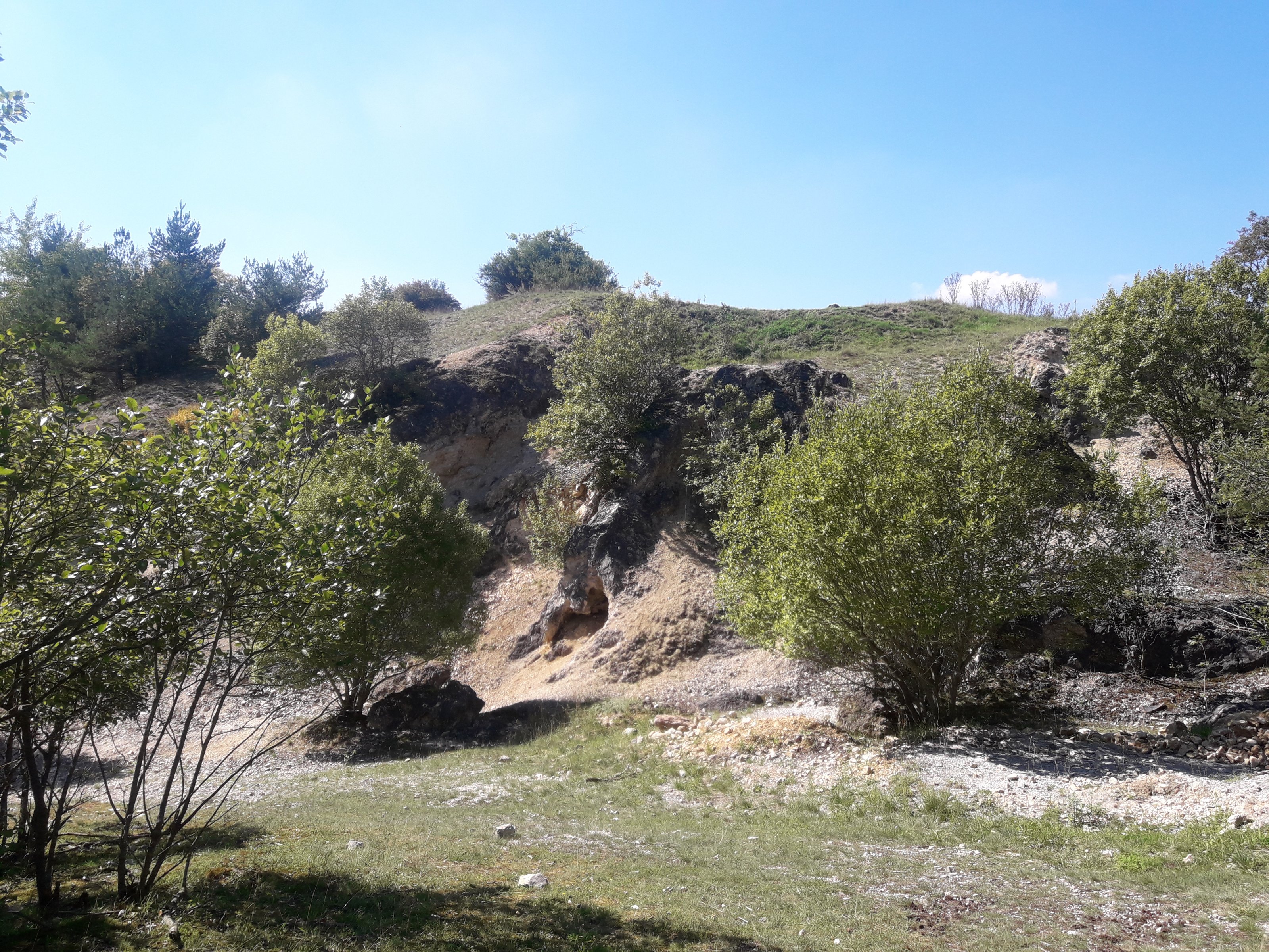 20200908_144506.jpg