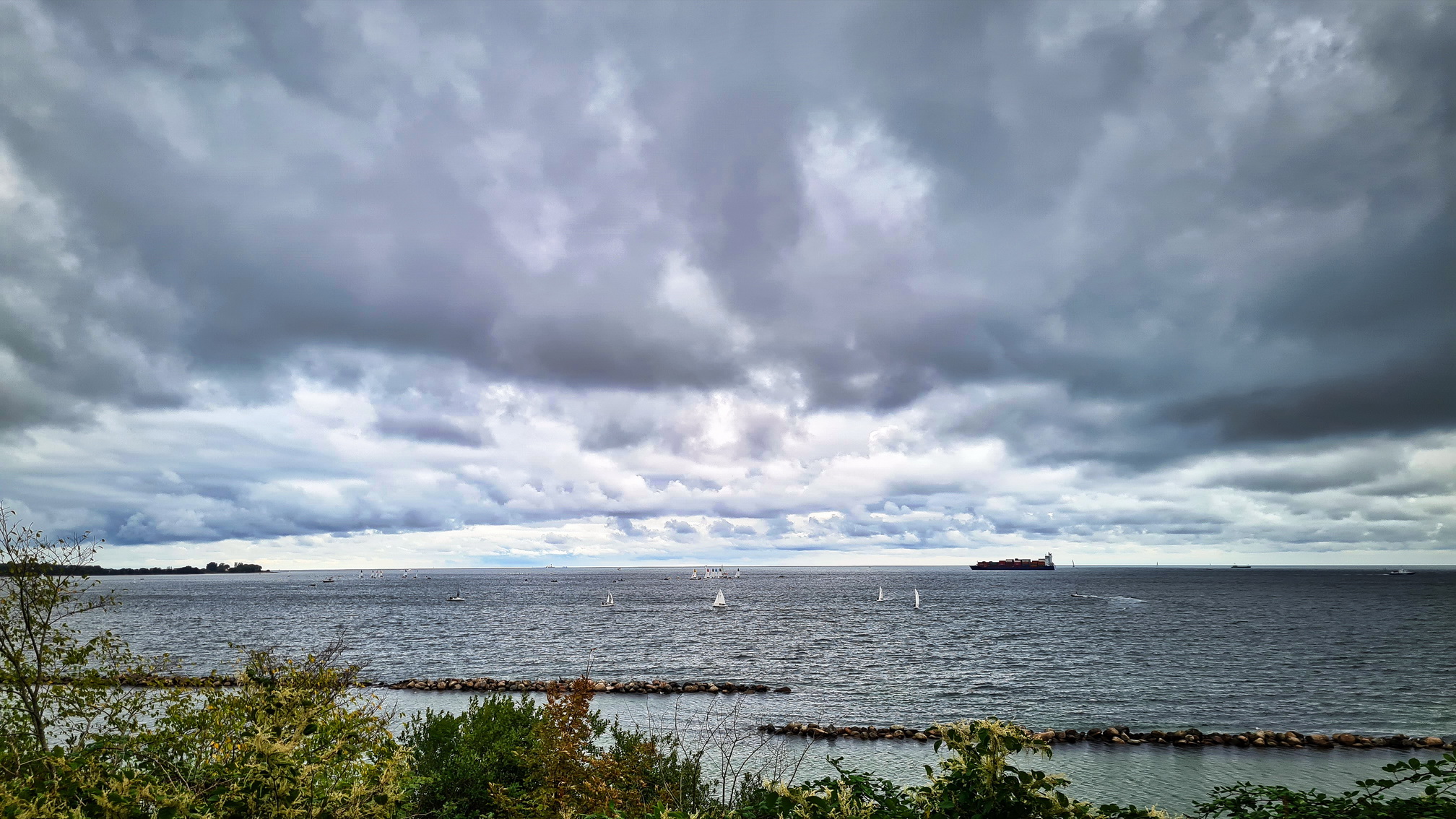 20200926_160507.jpg