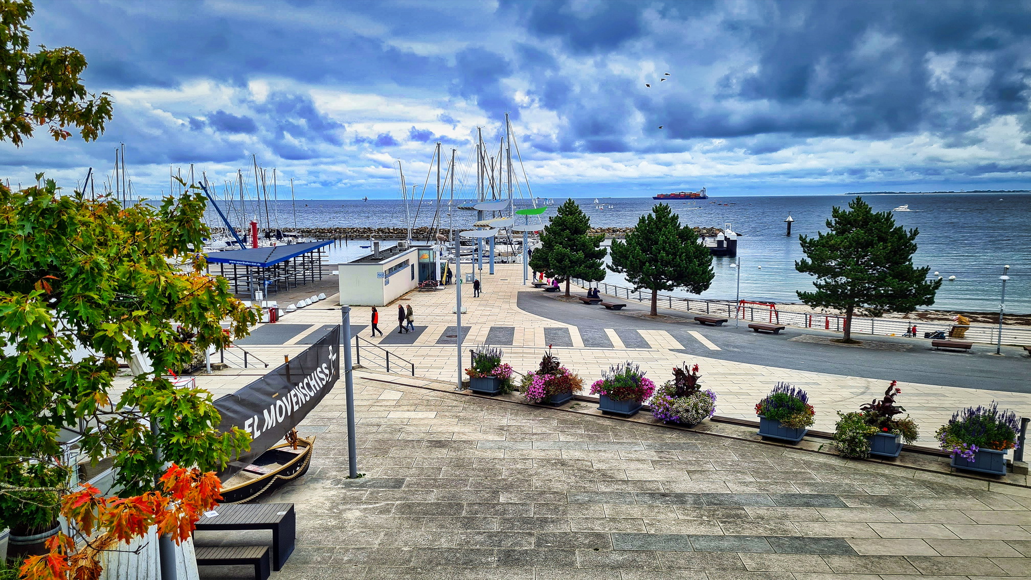 20200926_163145.jpg