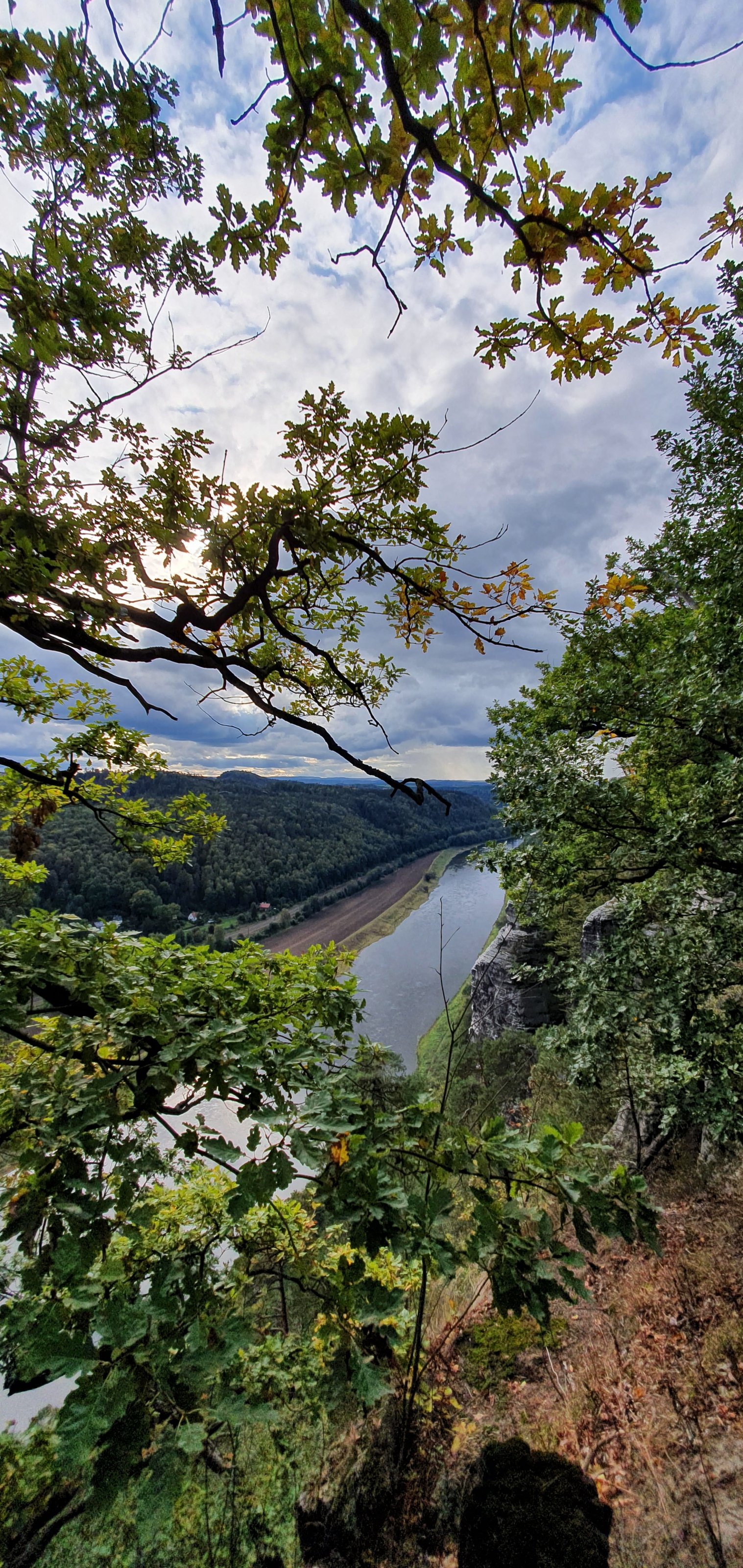 20201007_155155.jpg