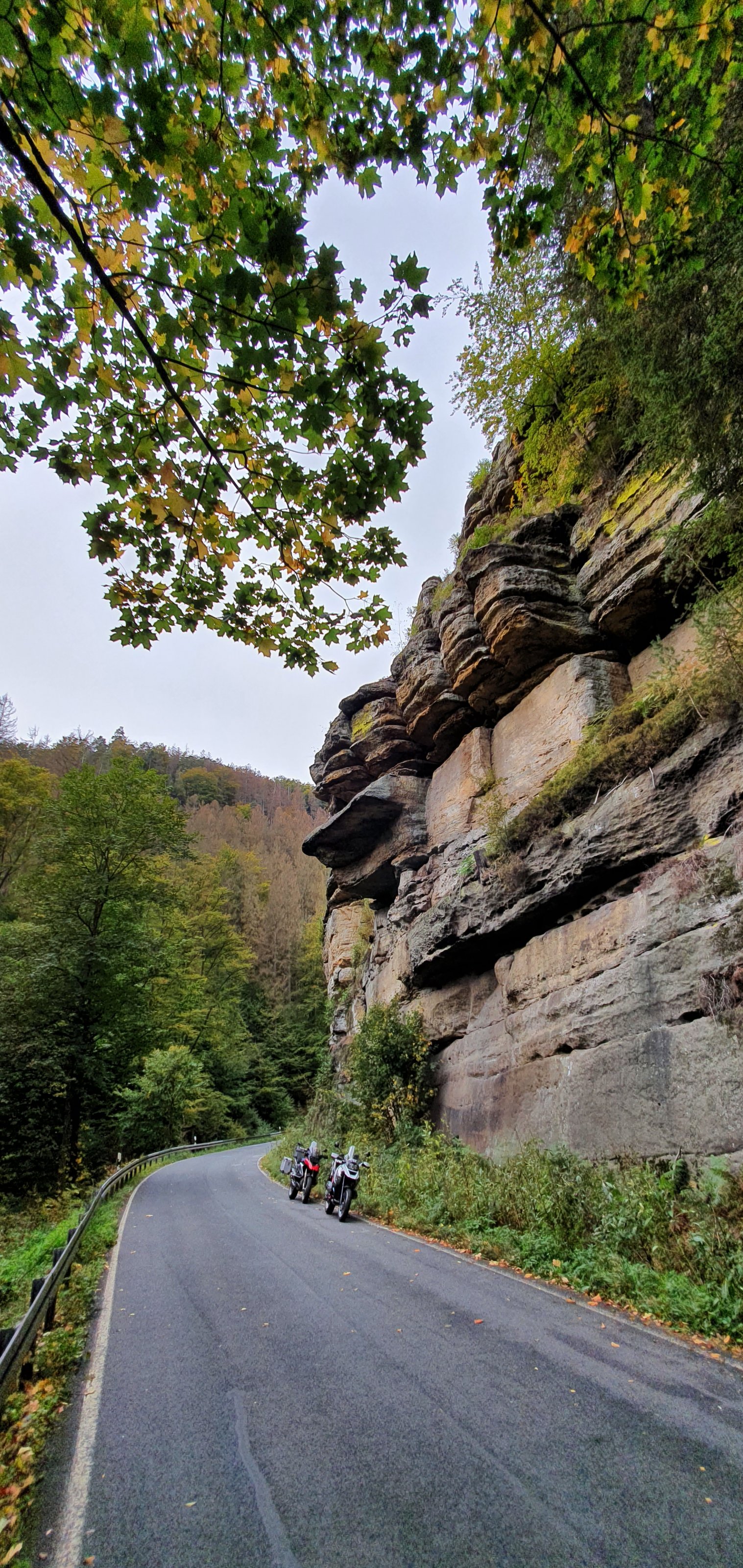 20201008_143237.jpg