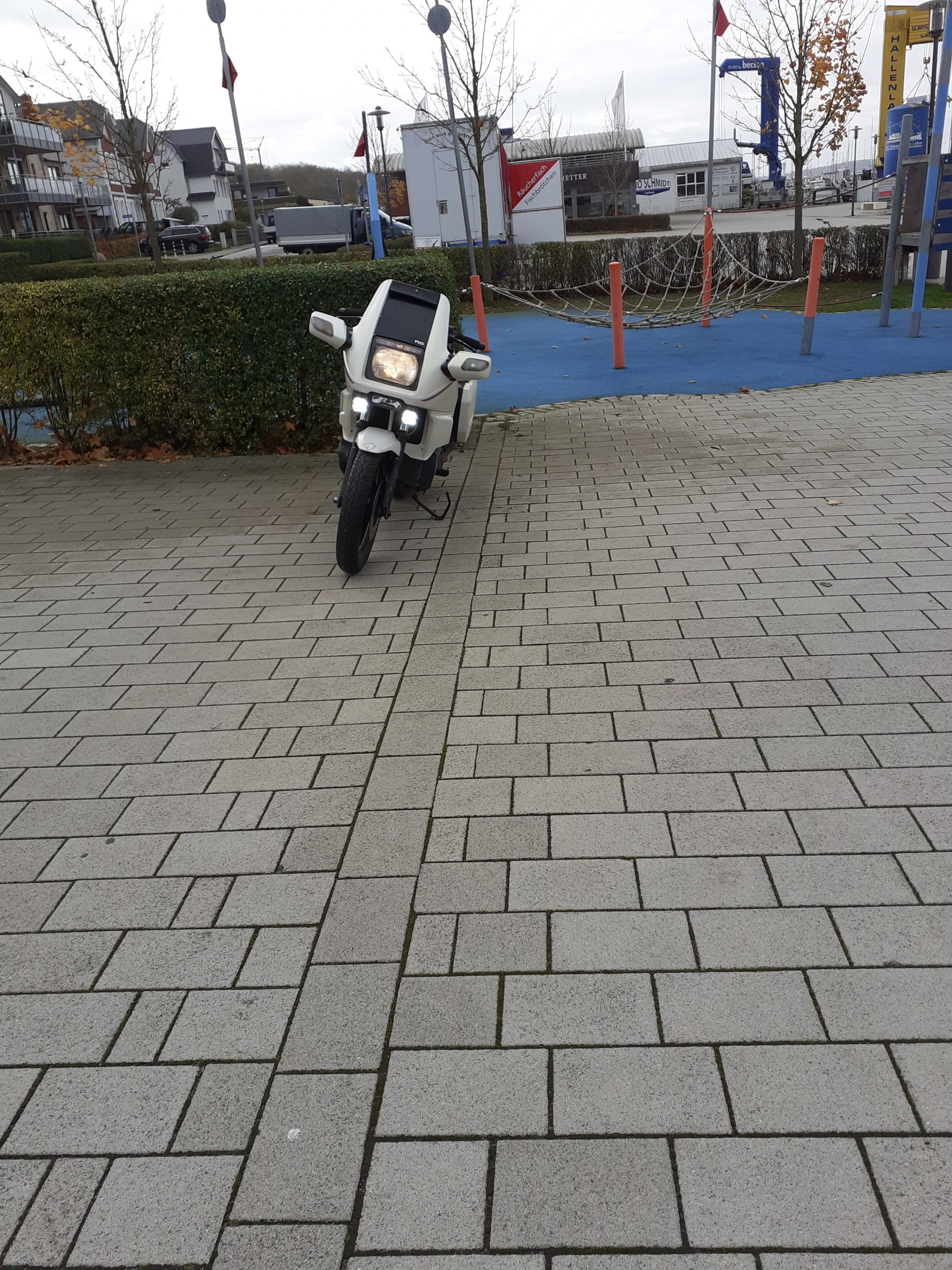 20201106_113801.jpg