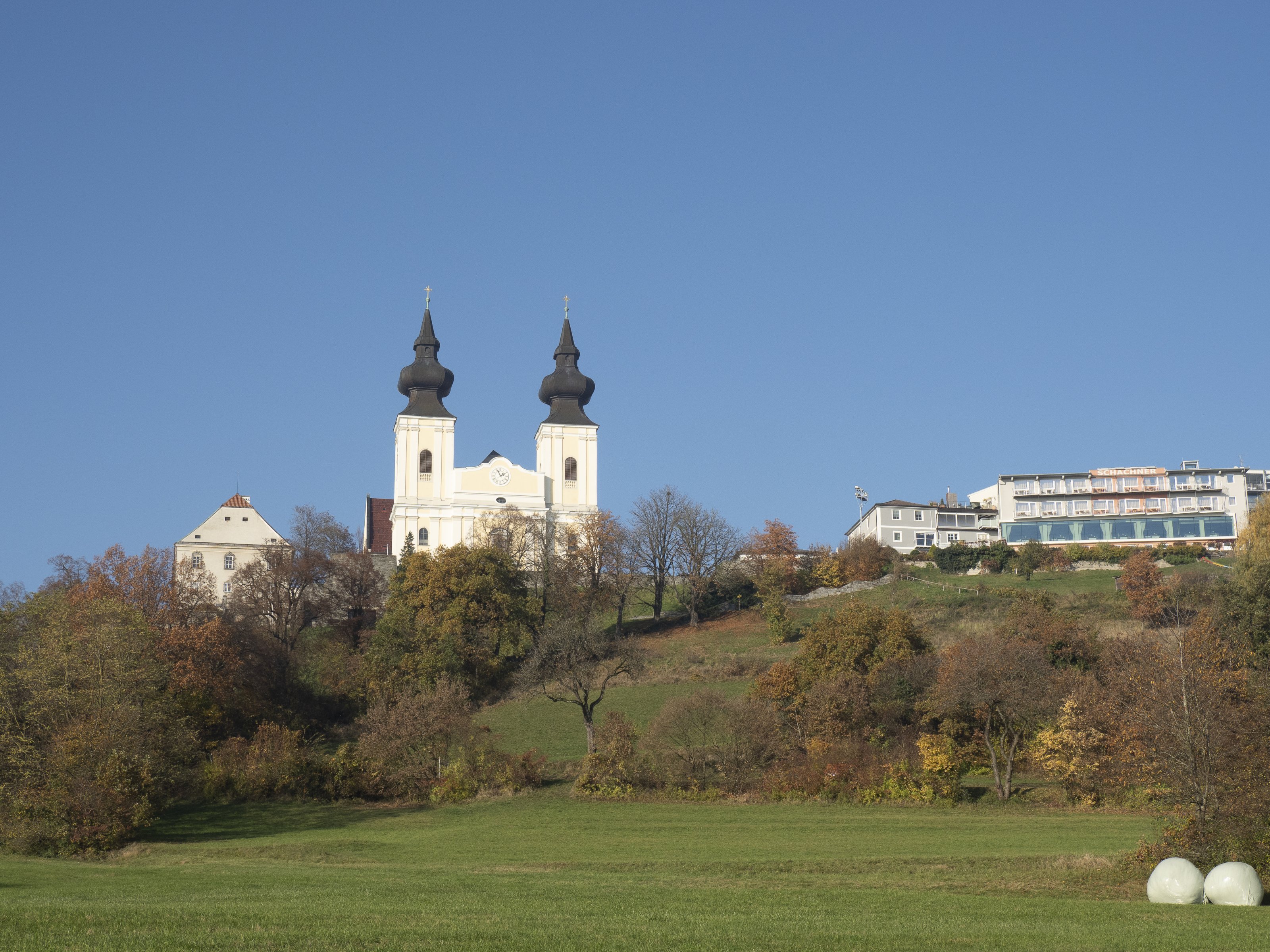 20201107-PB077988.jpg