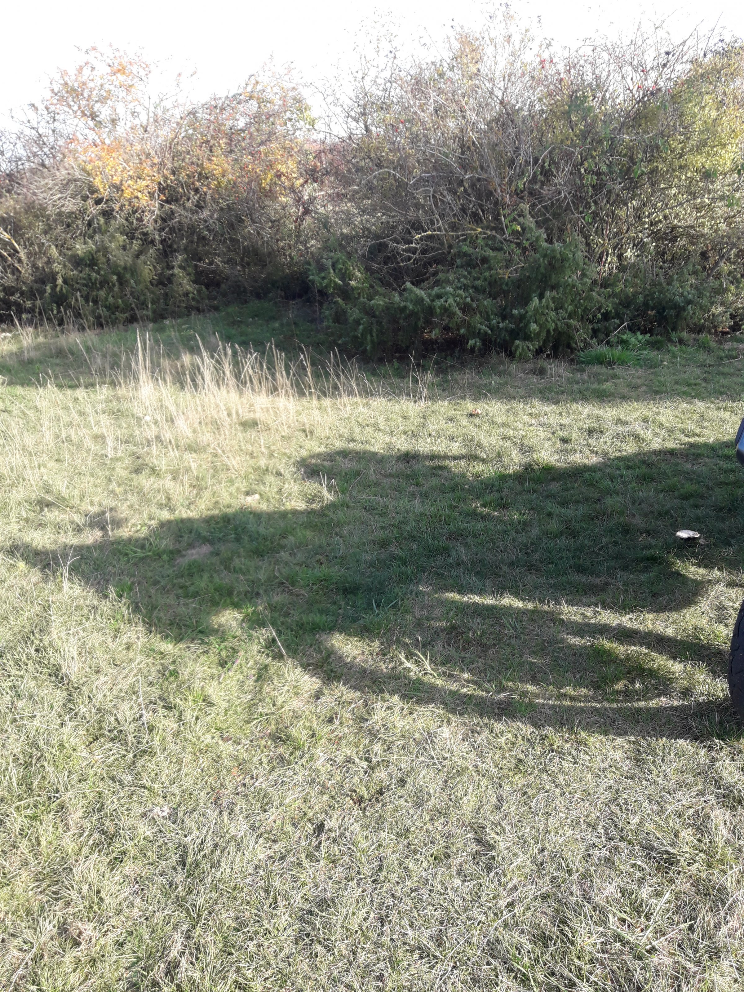 20201108_133757.jpg