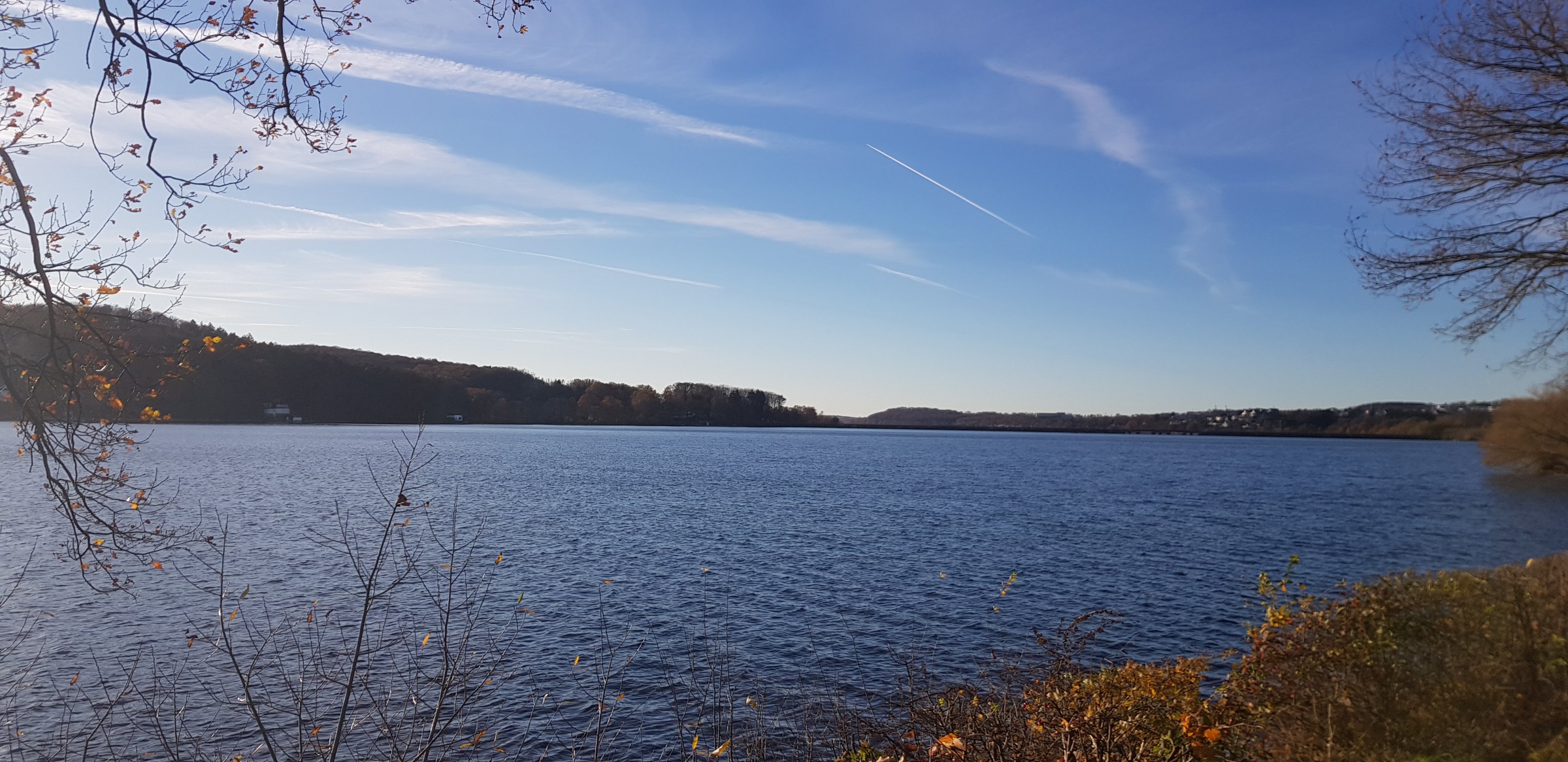 20201118_145406.jpg