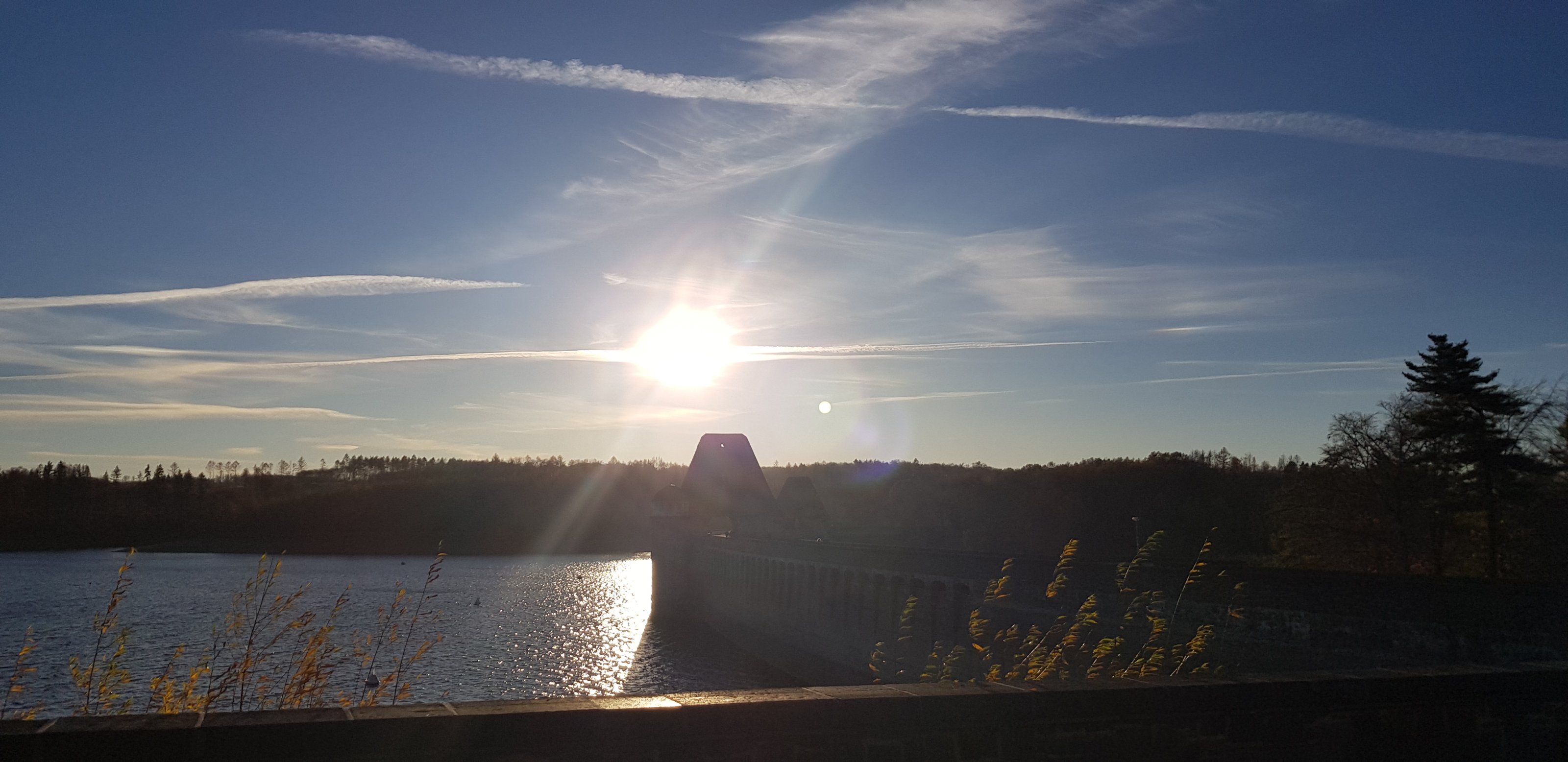 20201118_152042.jpg