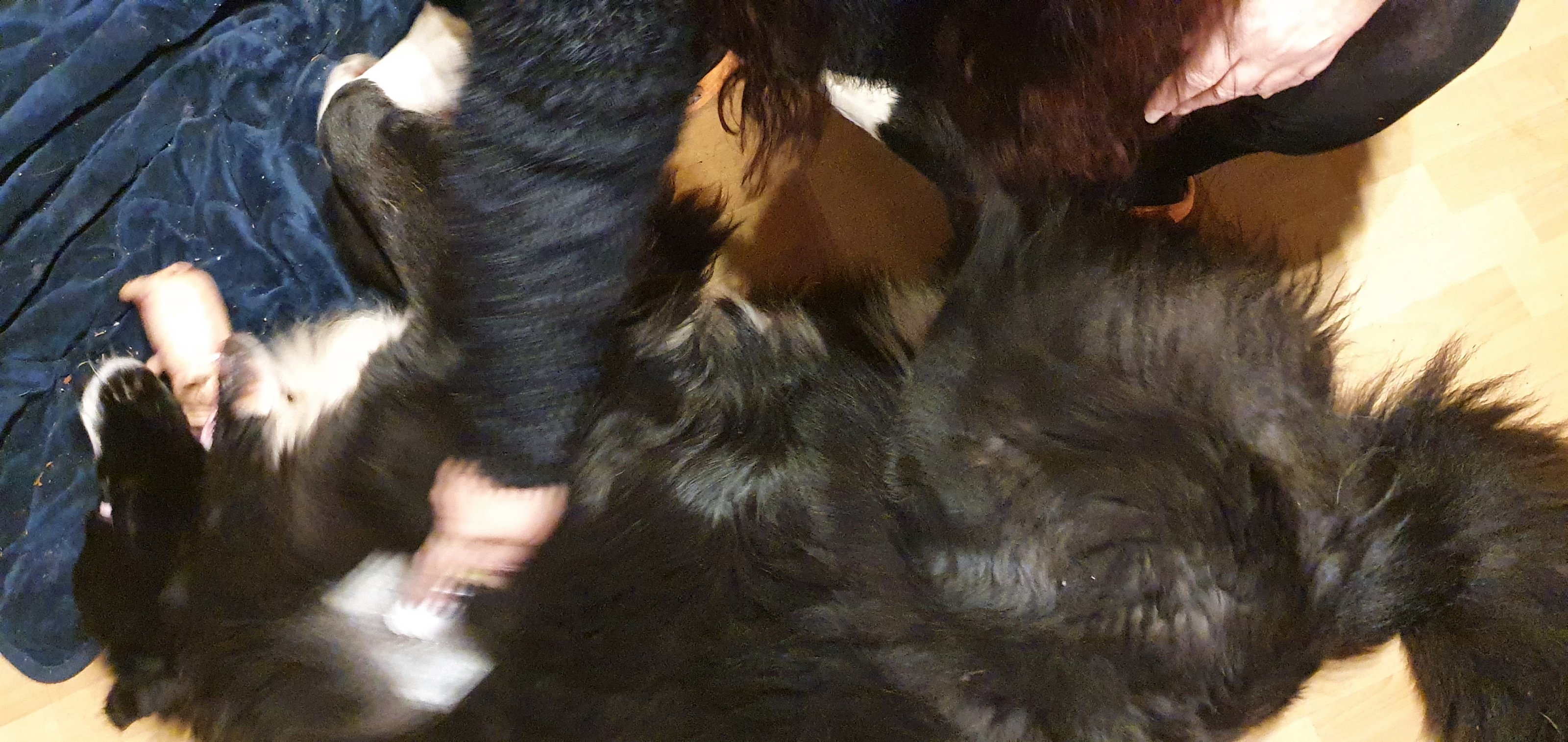 20201123_212722.jpg