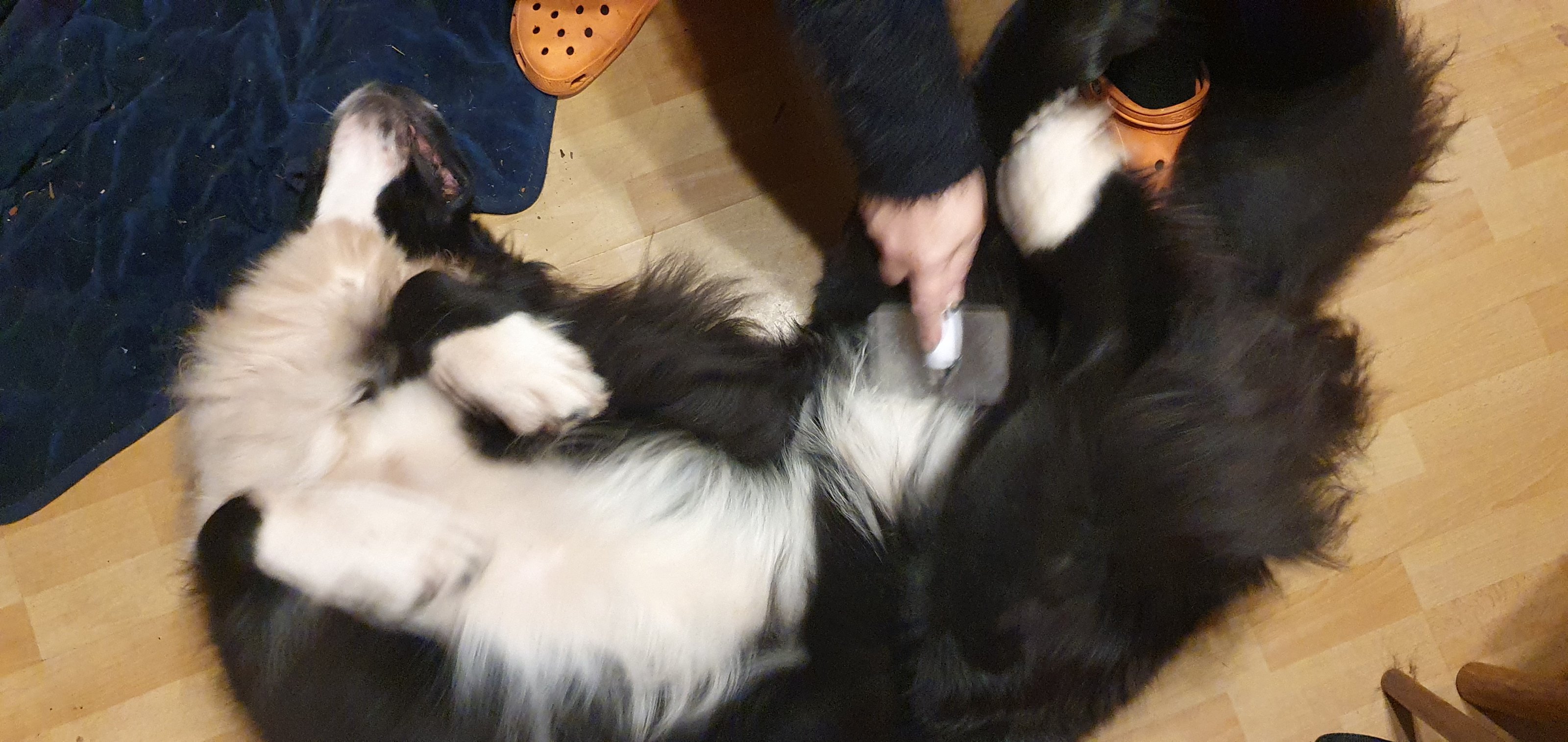 20201123_212730.jpg