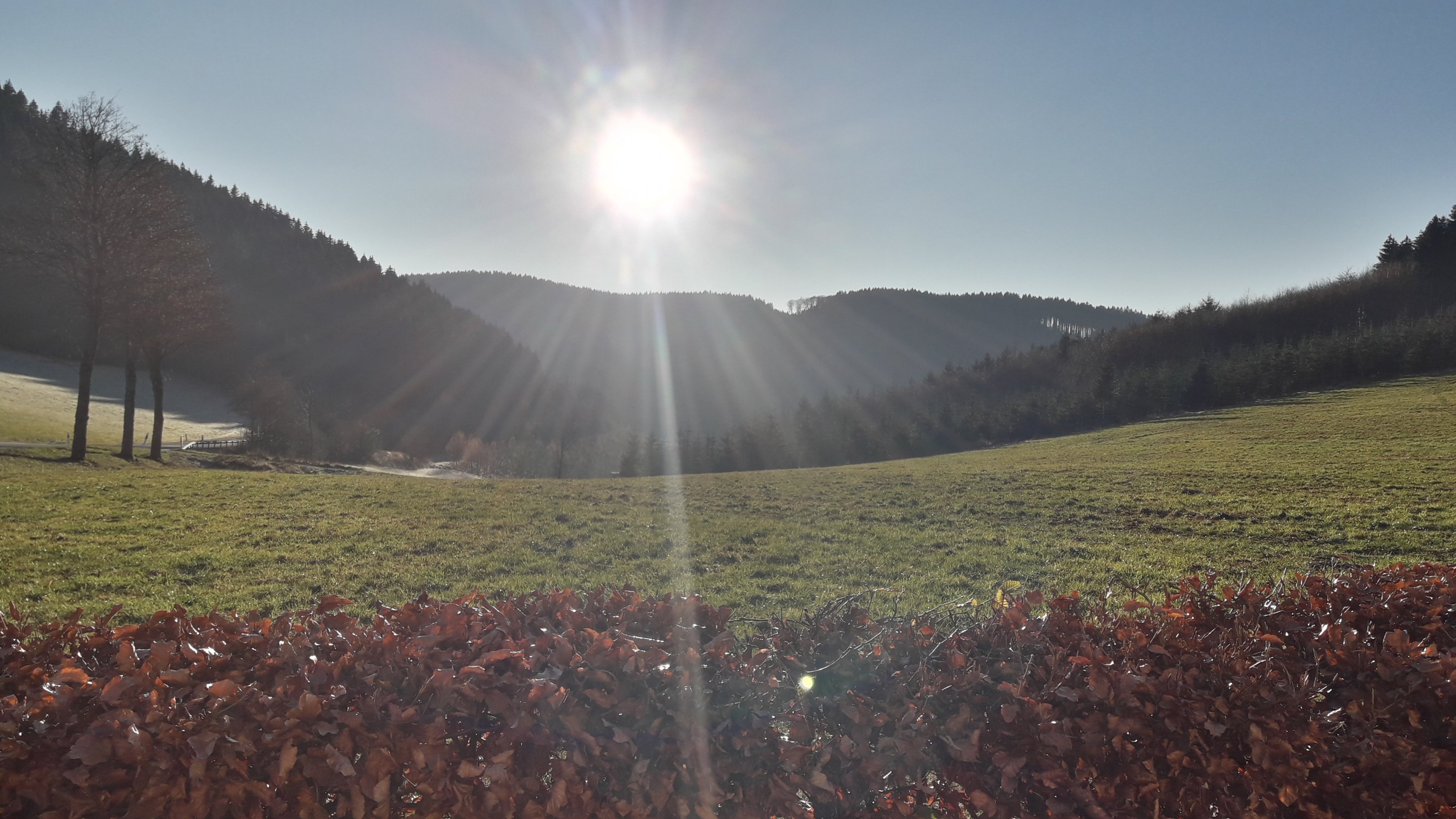 20201129_143732[1].jpg