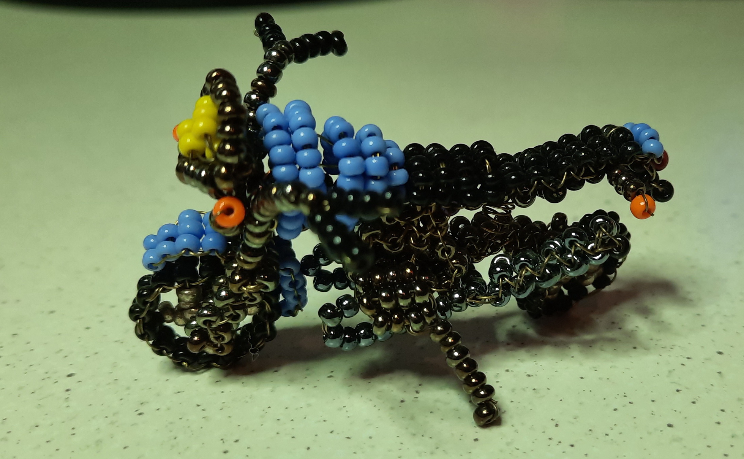20201213_082049.jpg