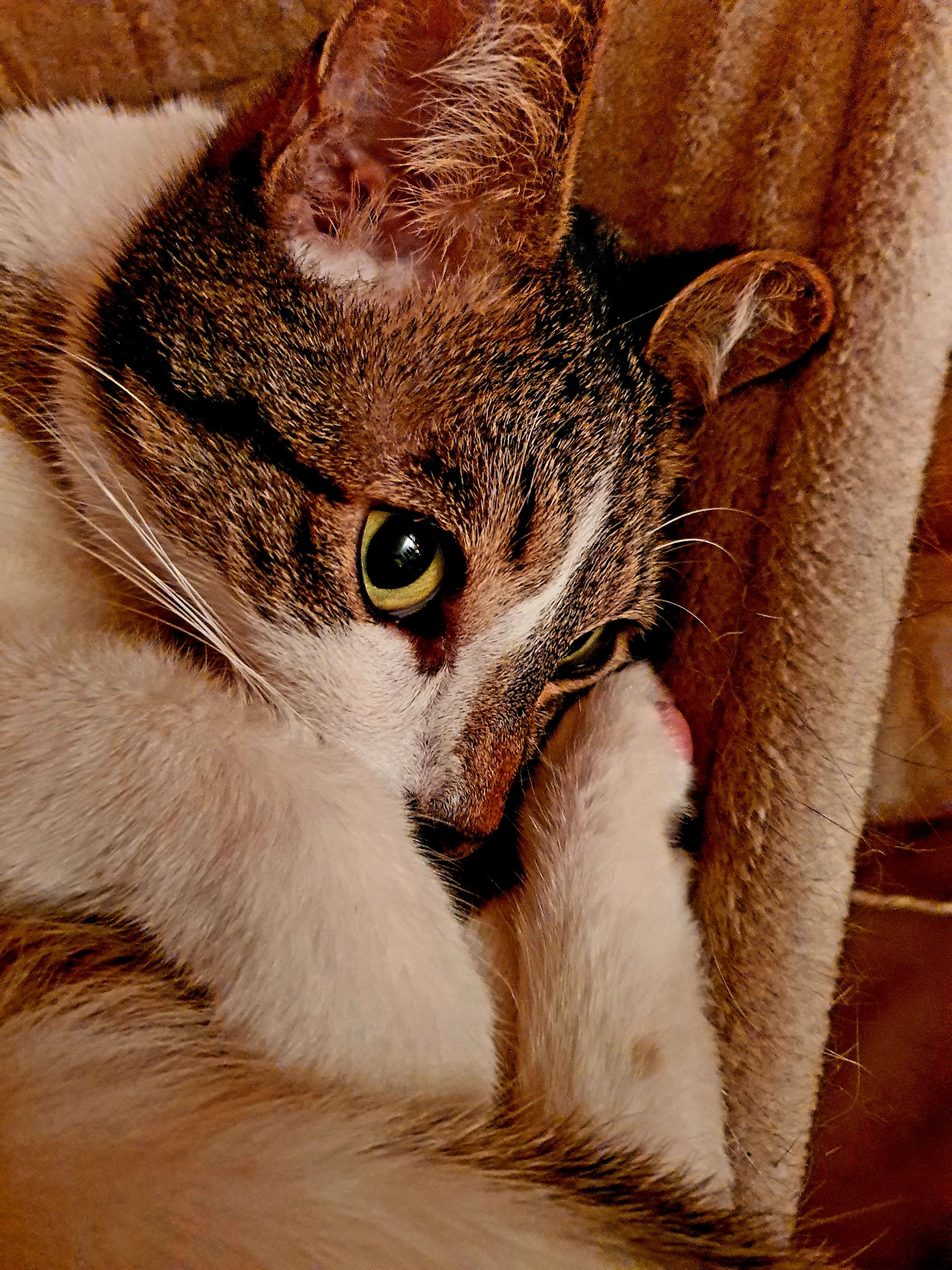 20201213_184406.jpg