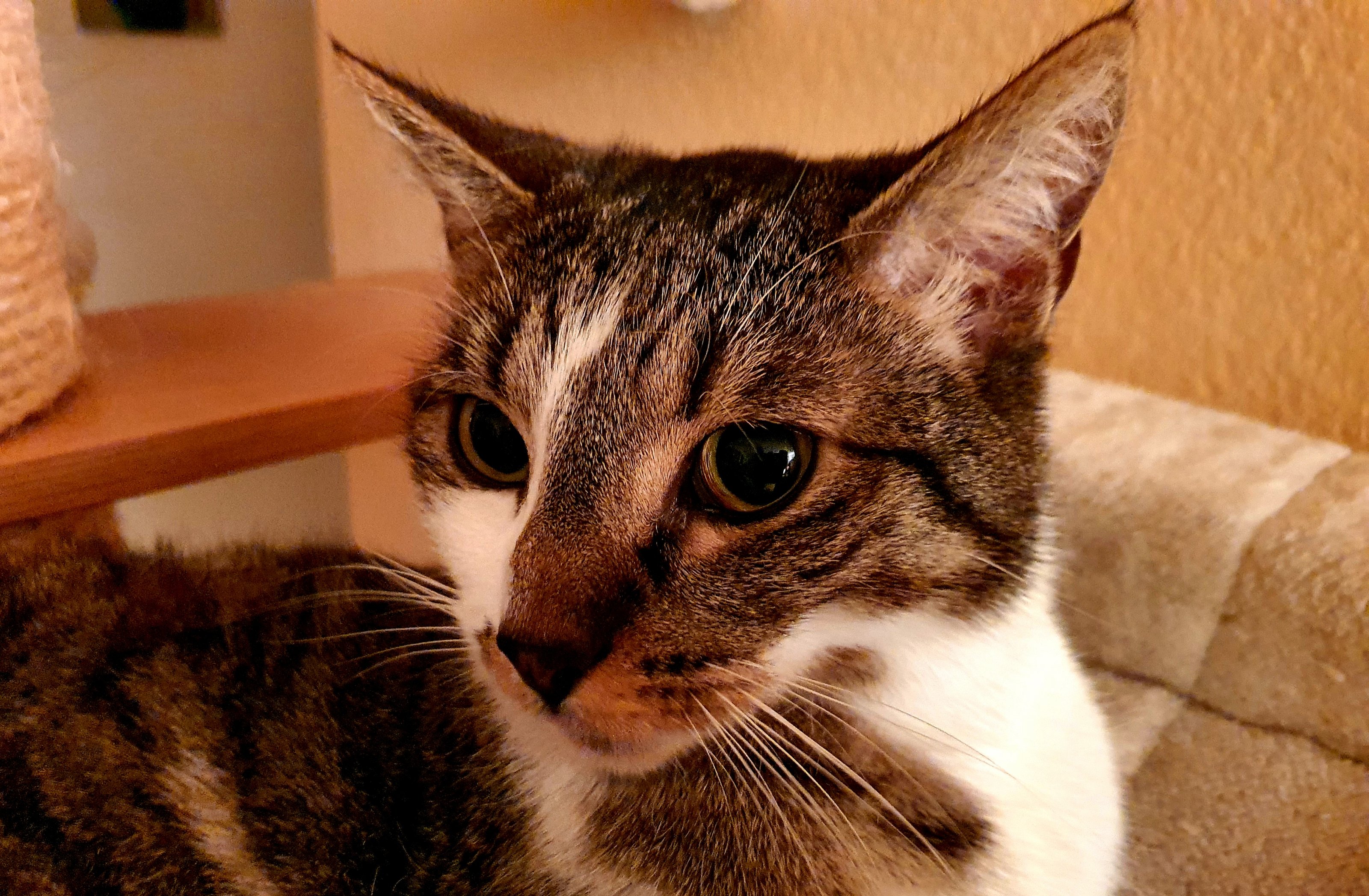 20201213_185222.jpg