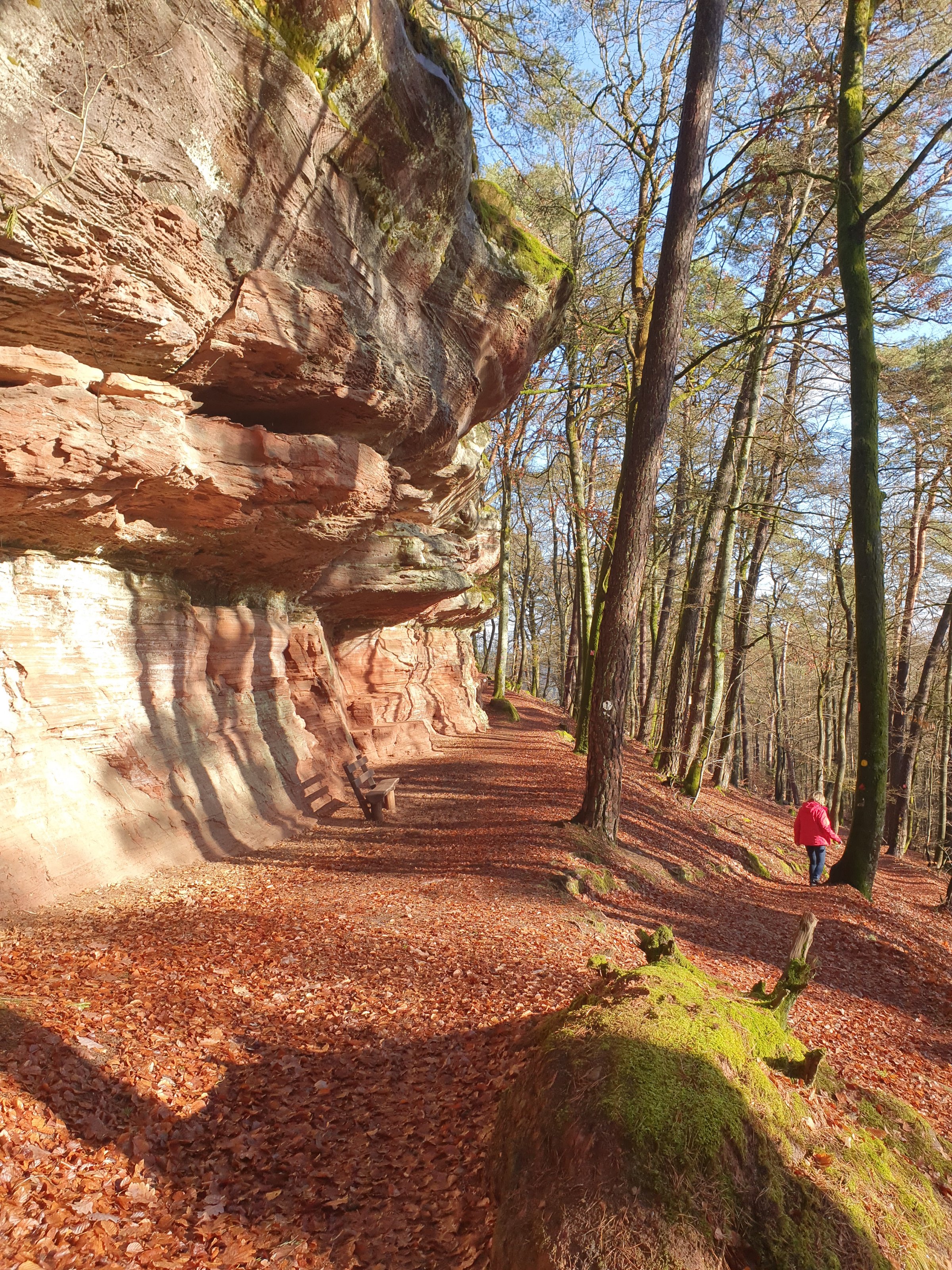 20201225_120915.jpg